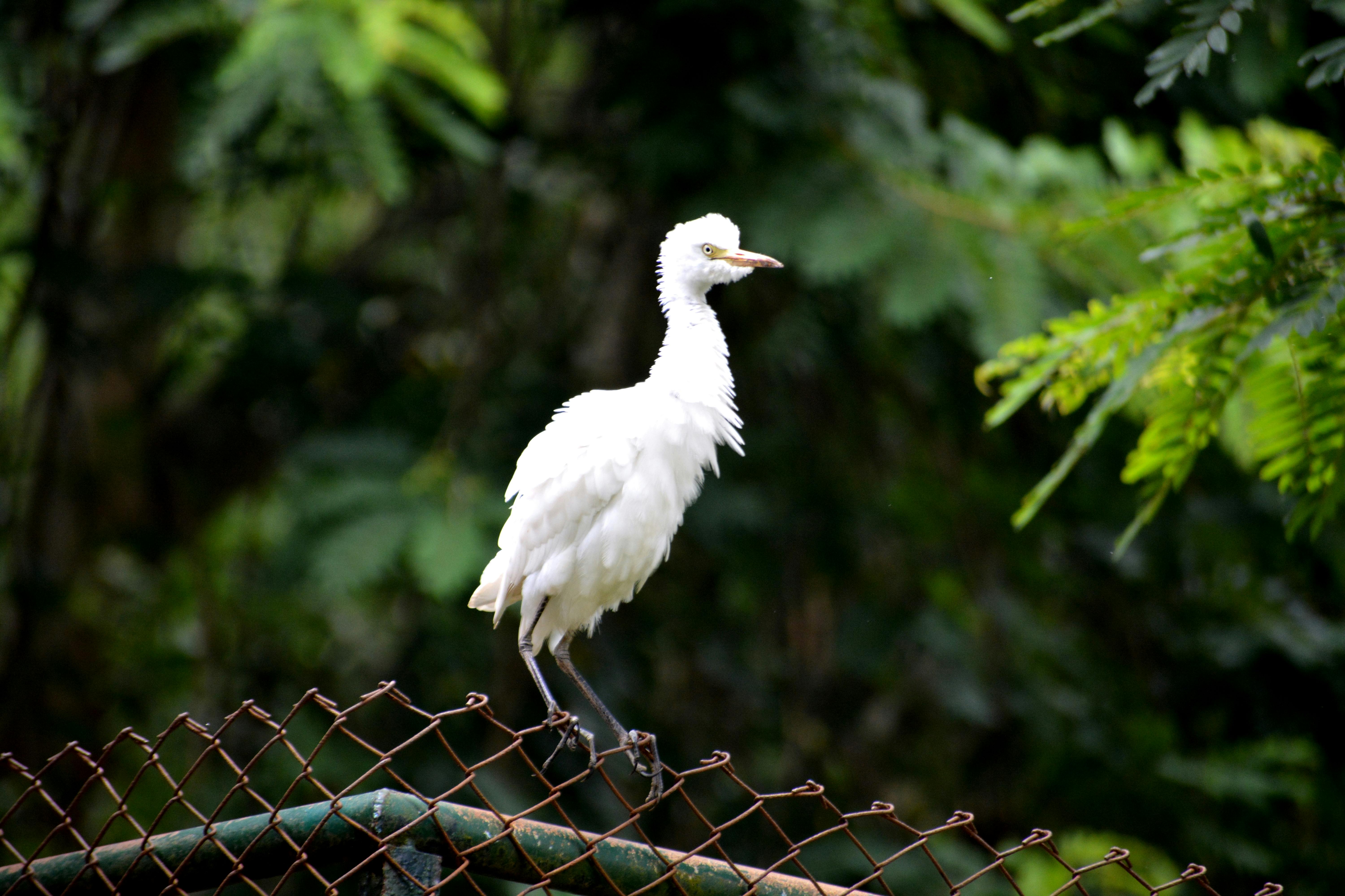Discover Your Unique Olfactory Identity