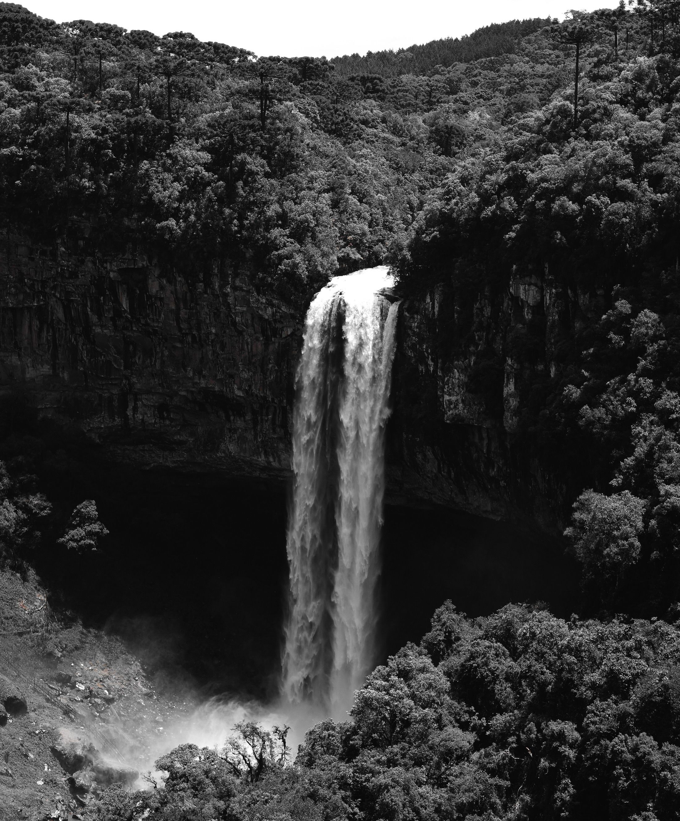 Black and white photo of a waterfall surrounded by lush forest.