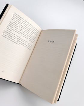 An open book showing chapter two on a white background, ideal for literary themes.