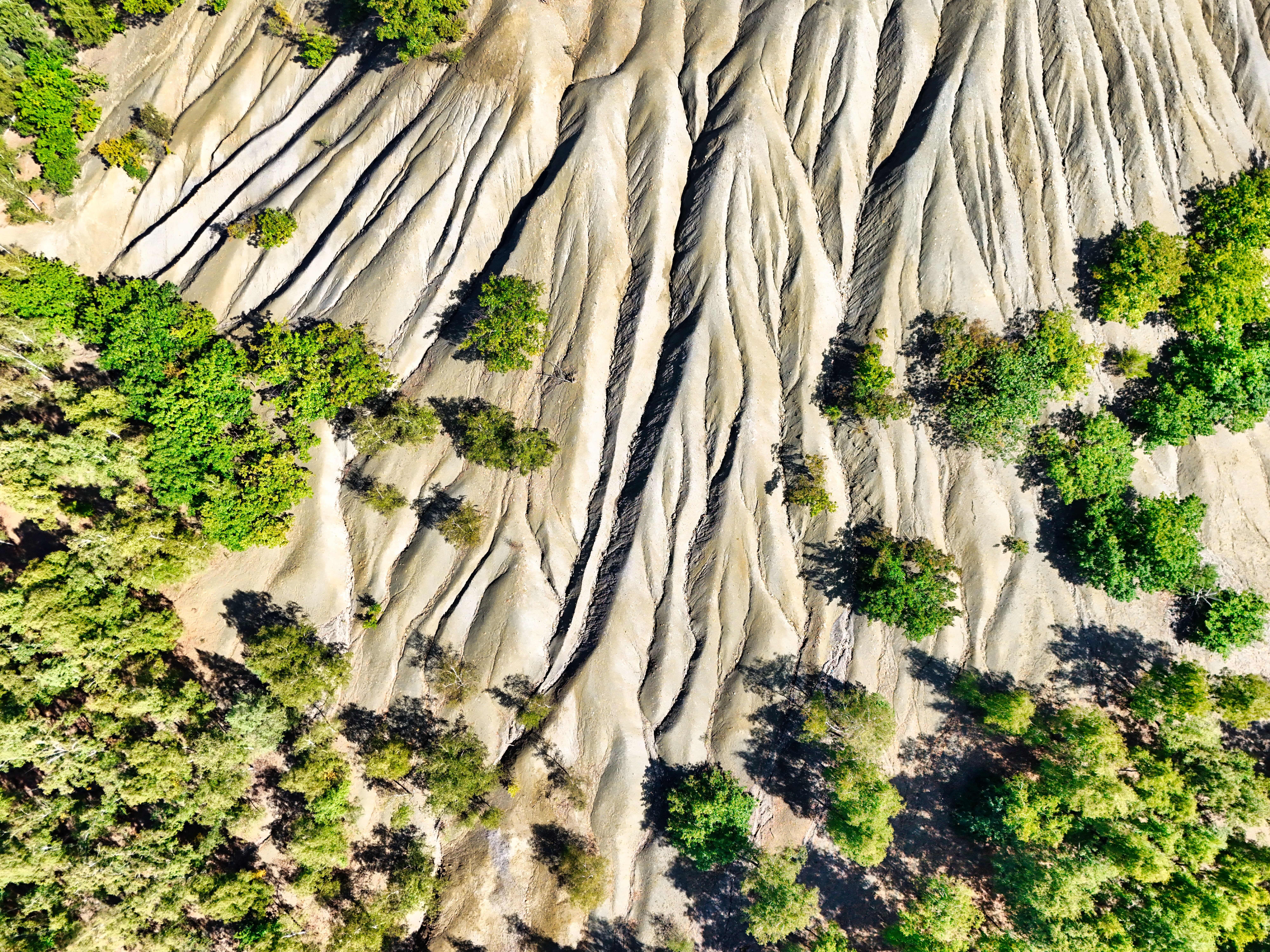 Aerial View of Dramatic Erosion Patterns on Land · Free Stock Photo