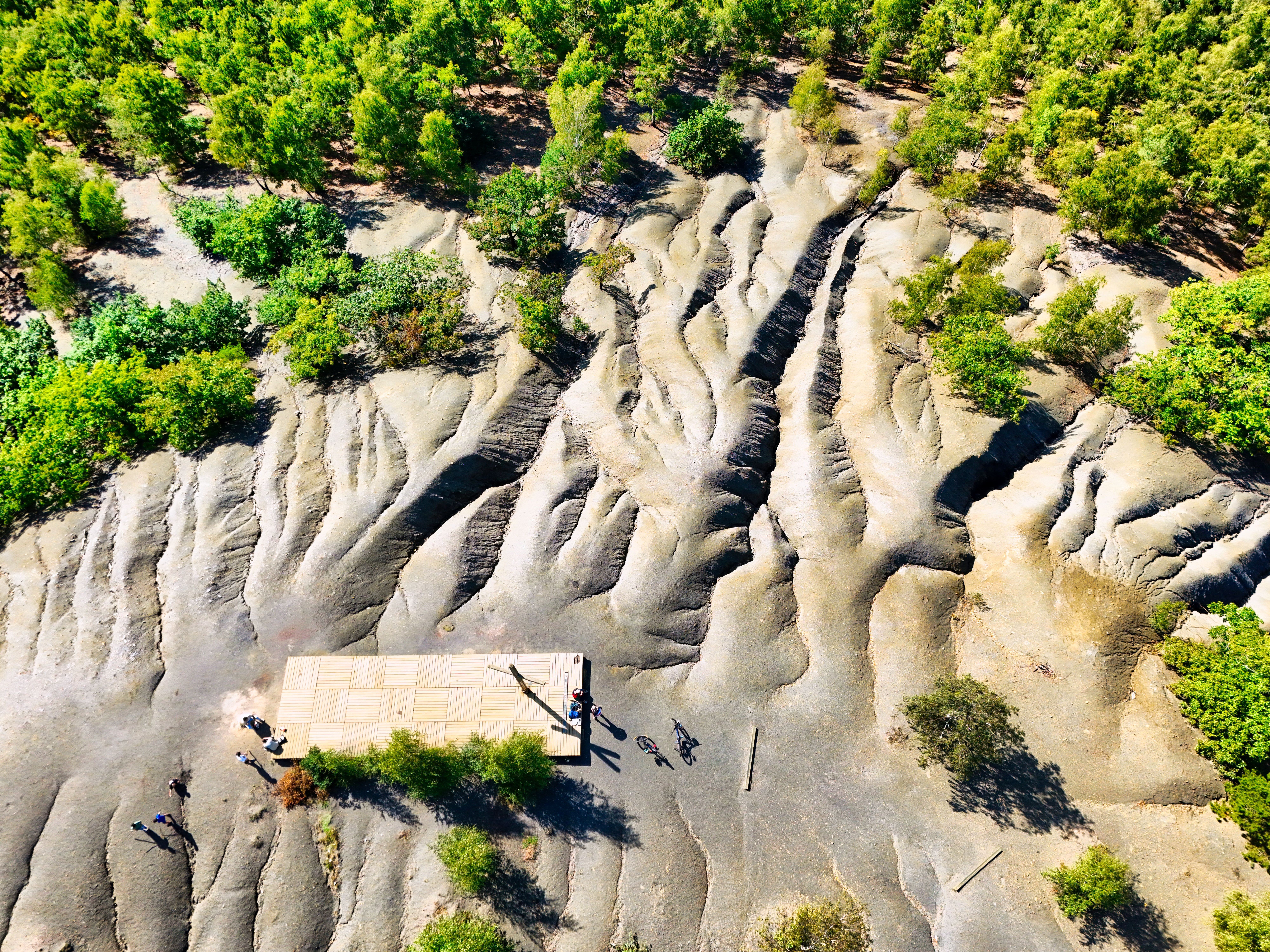 Aerial View of Eroded Landscape with Vegetation · Free Stock Photo