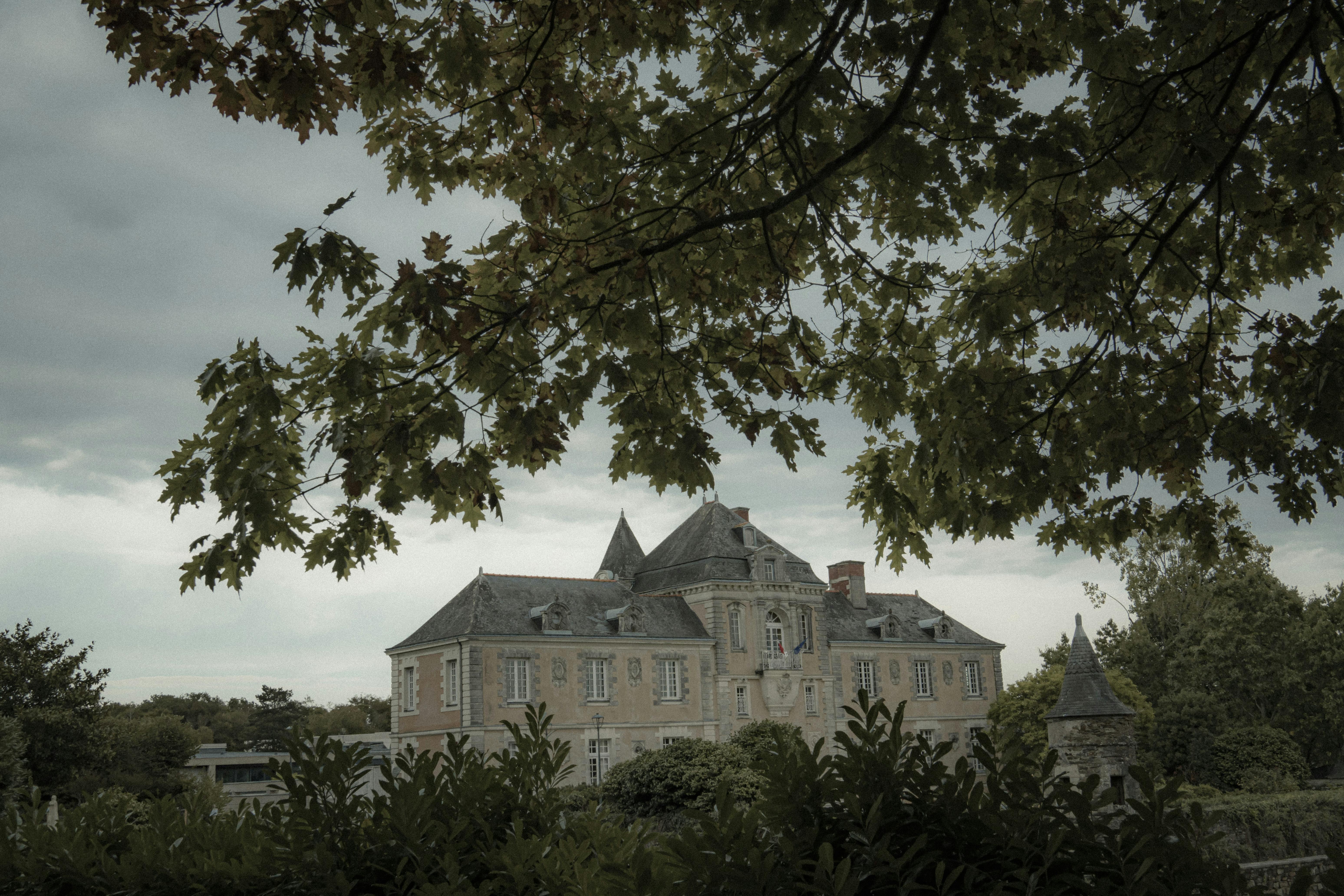 Discover the Essence of Timeless Elegance in Fashion and Design