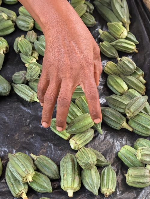 Free A person selects fresh okra at a market, highlighting organic produce selection. Stock Photo