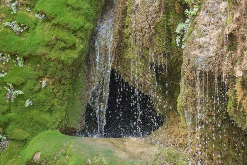 Free Lush moss-covered waterfall in the scenic region of Bogarra, Spain. Stock Photo