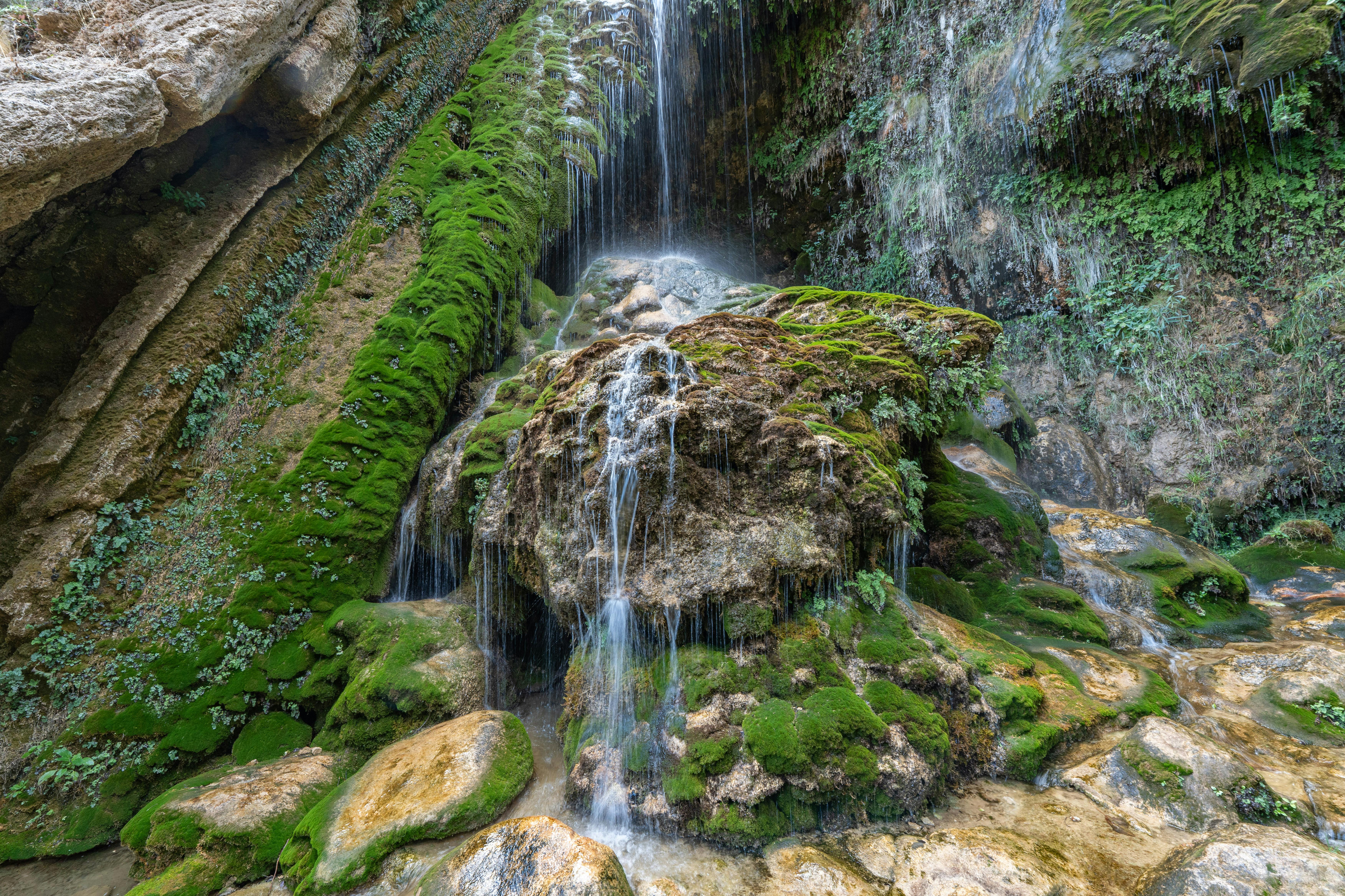 Understanding the Impact of Climate Change on Endangered Species