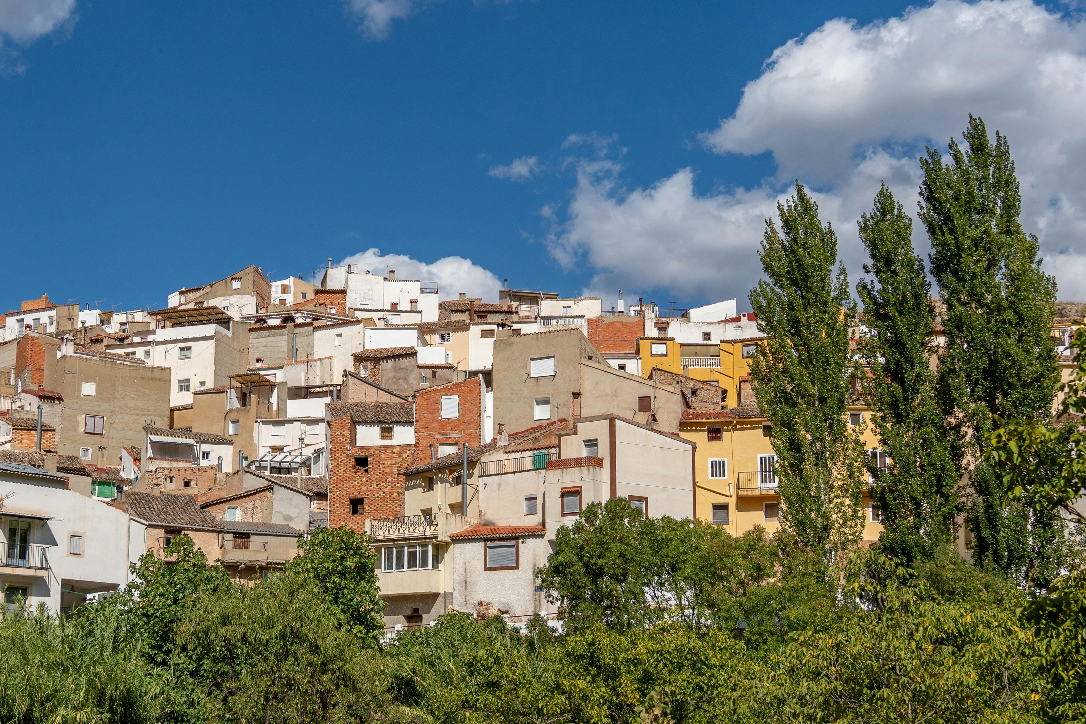台南北區成首個國際健康城市副會員 社區創新照護獲國際肯定