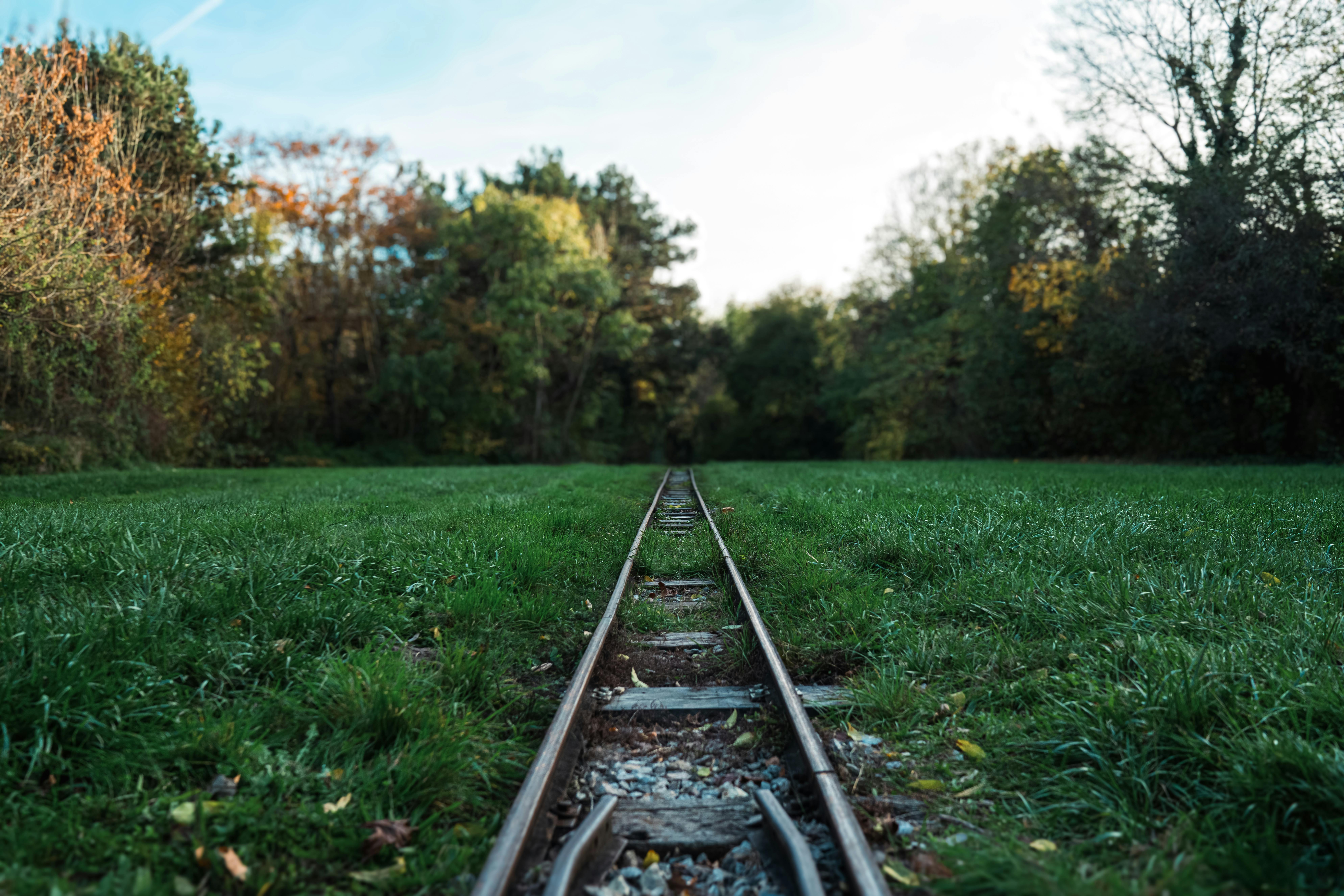 Fast Track to Financial Independence: Siren Climbs 2% — Photo by Ghassan Alkhatib on Pexels