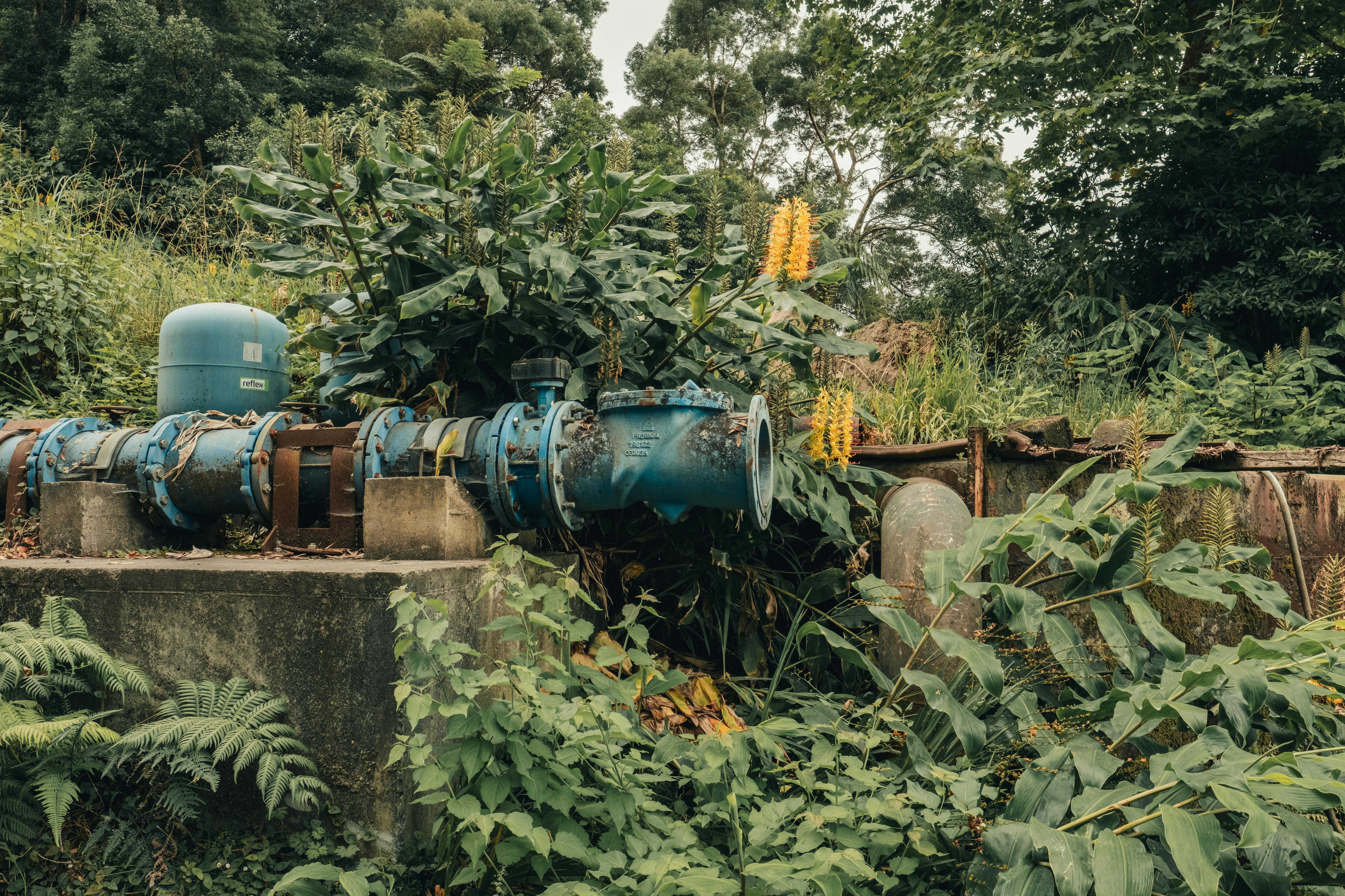 Discover the Hidden Potential of Your Surroundings