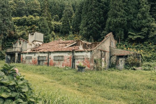 Ruined farmhouse in verdant Azorean setting, surrounded by dense forest and greenery.
