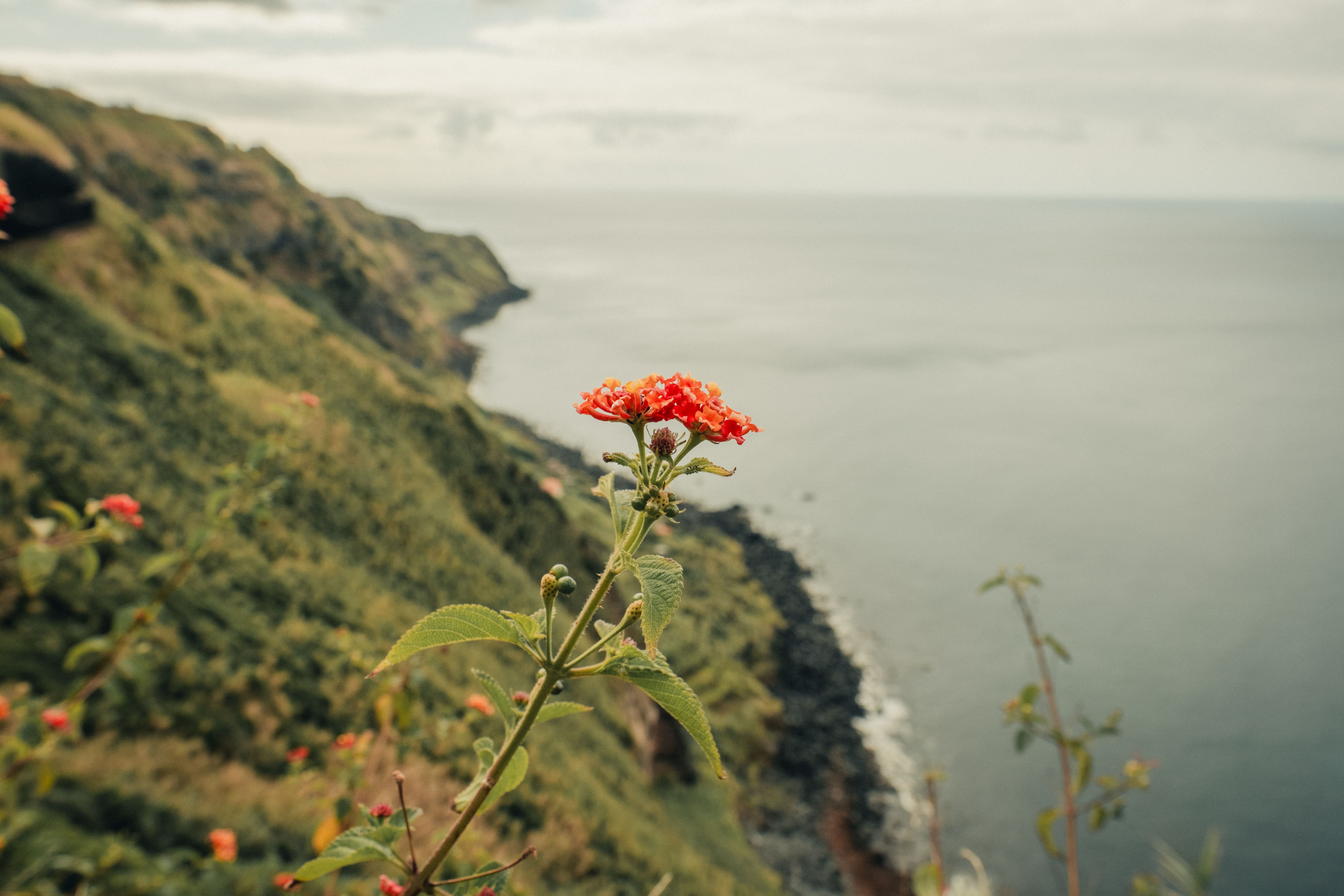 Island Backgrounds Photos, Download The BEST