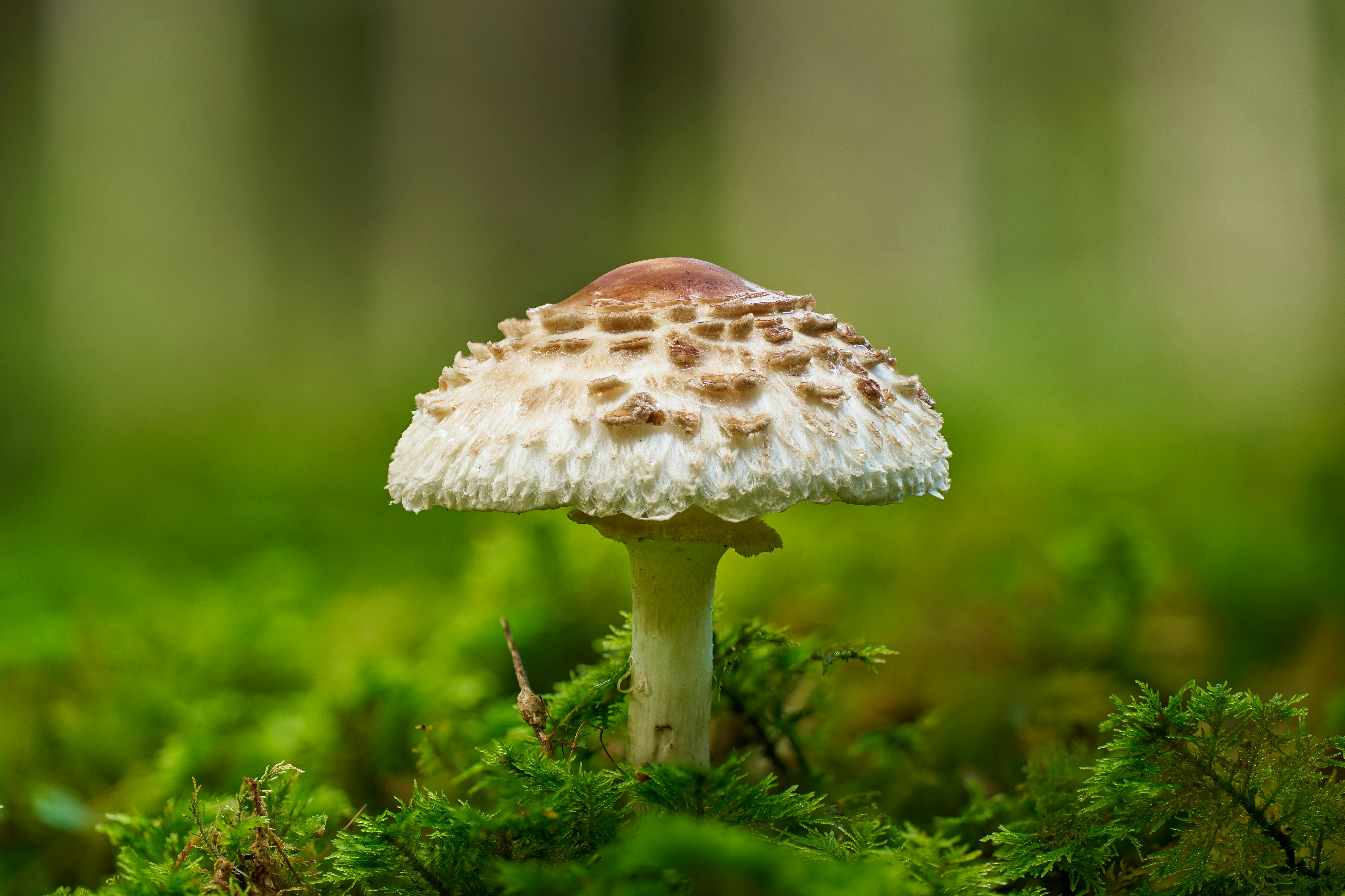 Unnoticed Hacks to Grow Your Audience Effectively