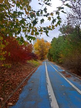 Colorful autumn pathway through a forest with vibrant foliage and a clear blue path.