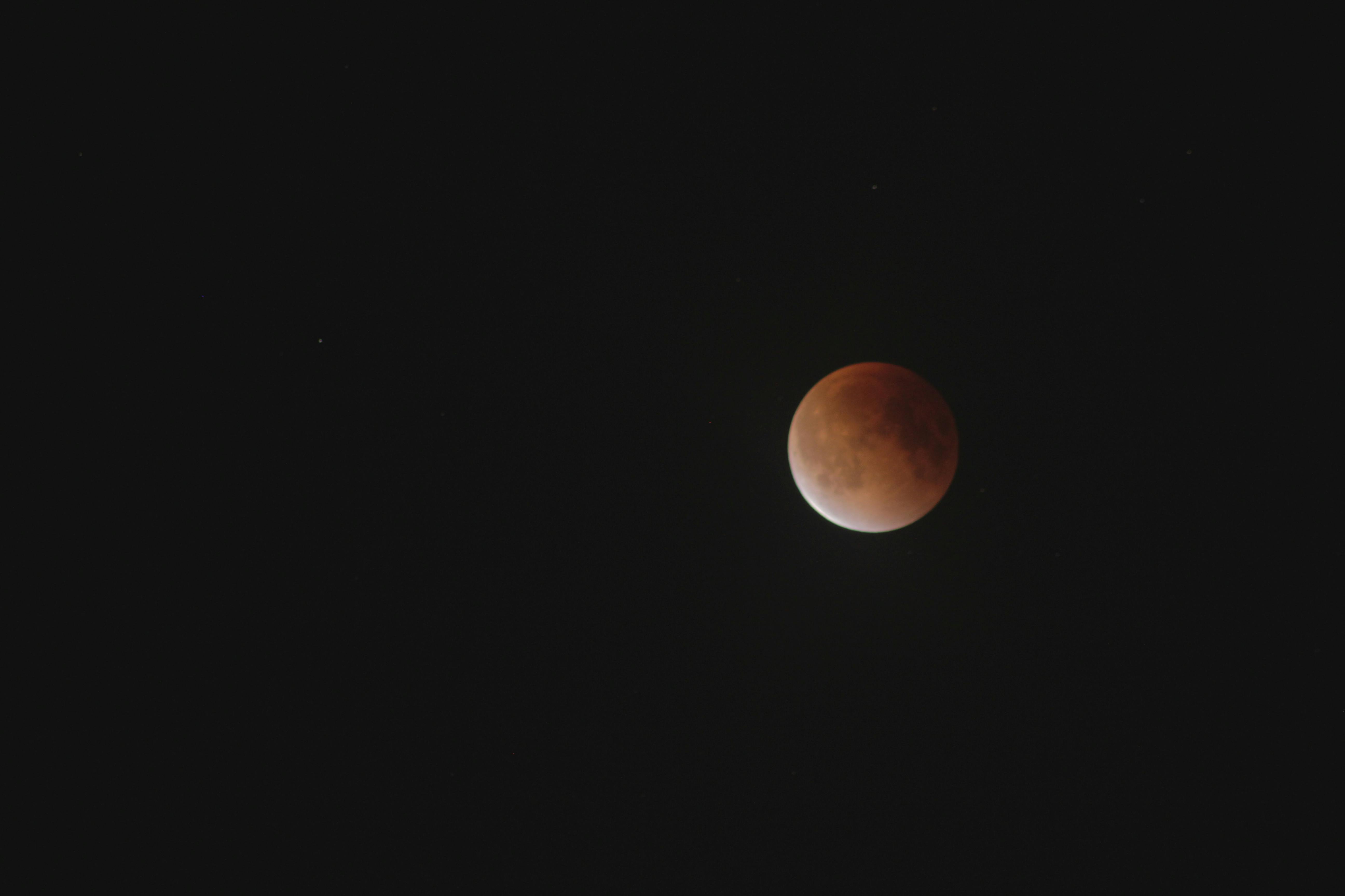 free-stock-photo-of-blood-moon-eclipse-moon