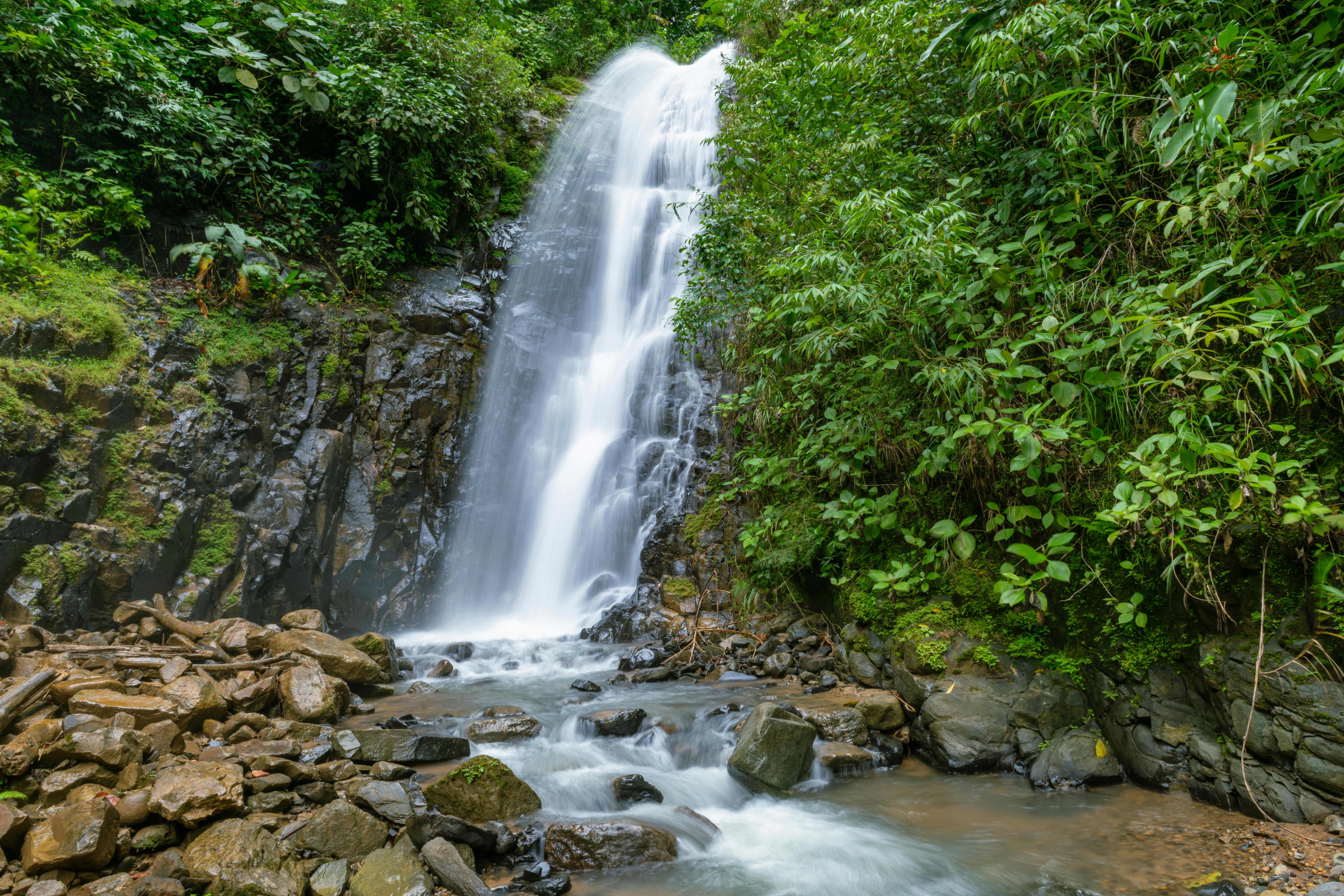 Isla del Coco National Park, Costa Rica - travel photo