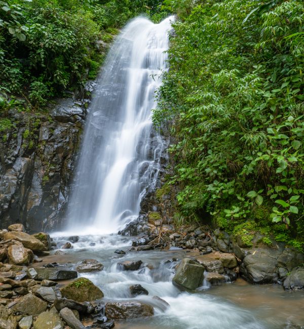 Costa Rica in Winter photo 4