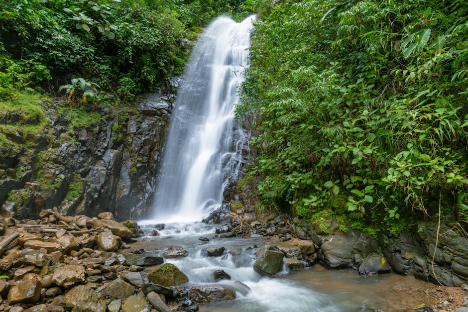 Marino Ballena National Park, Costa Rica - travel photo