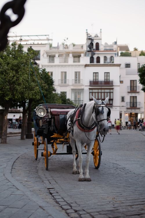 Free Elegant horse-drawn carriage in a historic Seville square, showcasing Andalusian architecture and vibrant street life. Stock Photo