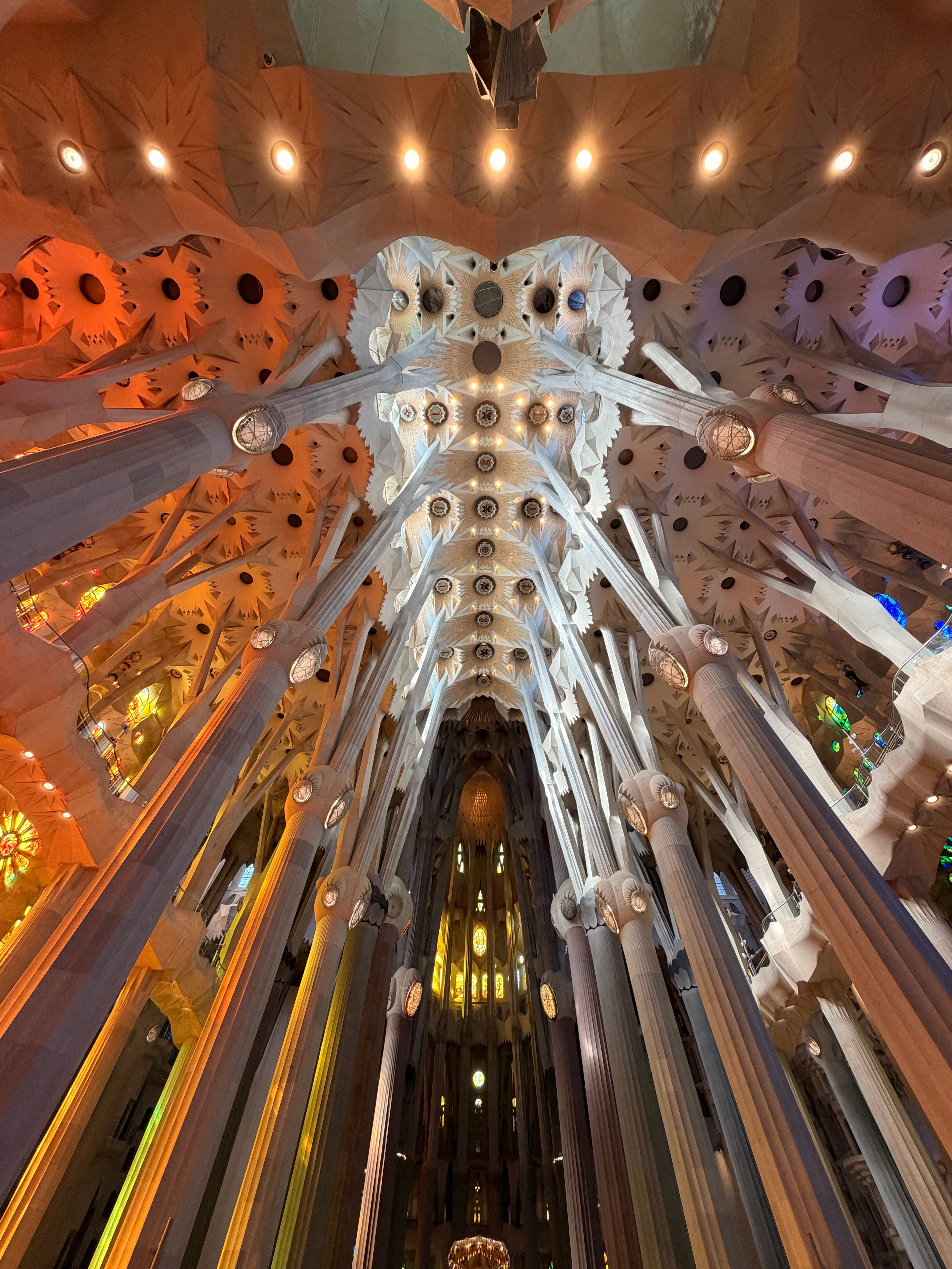 Majestic Ceiling of Sagrada Familia in Barcelona · Free Stock Photo