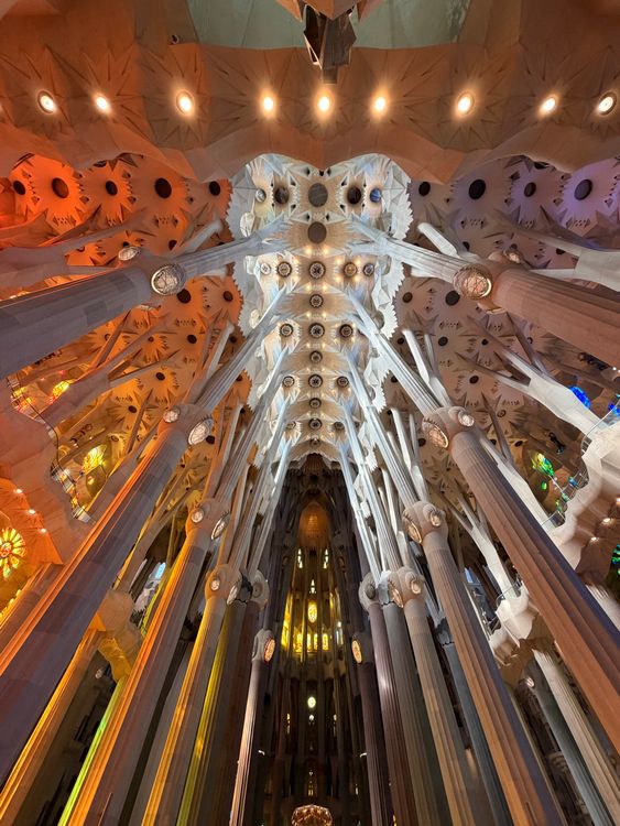 Majestic Ceiling of Sagrada Familia in Barcelona · Free Stock Photo