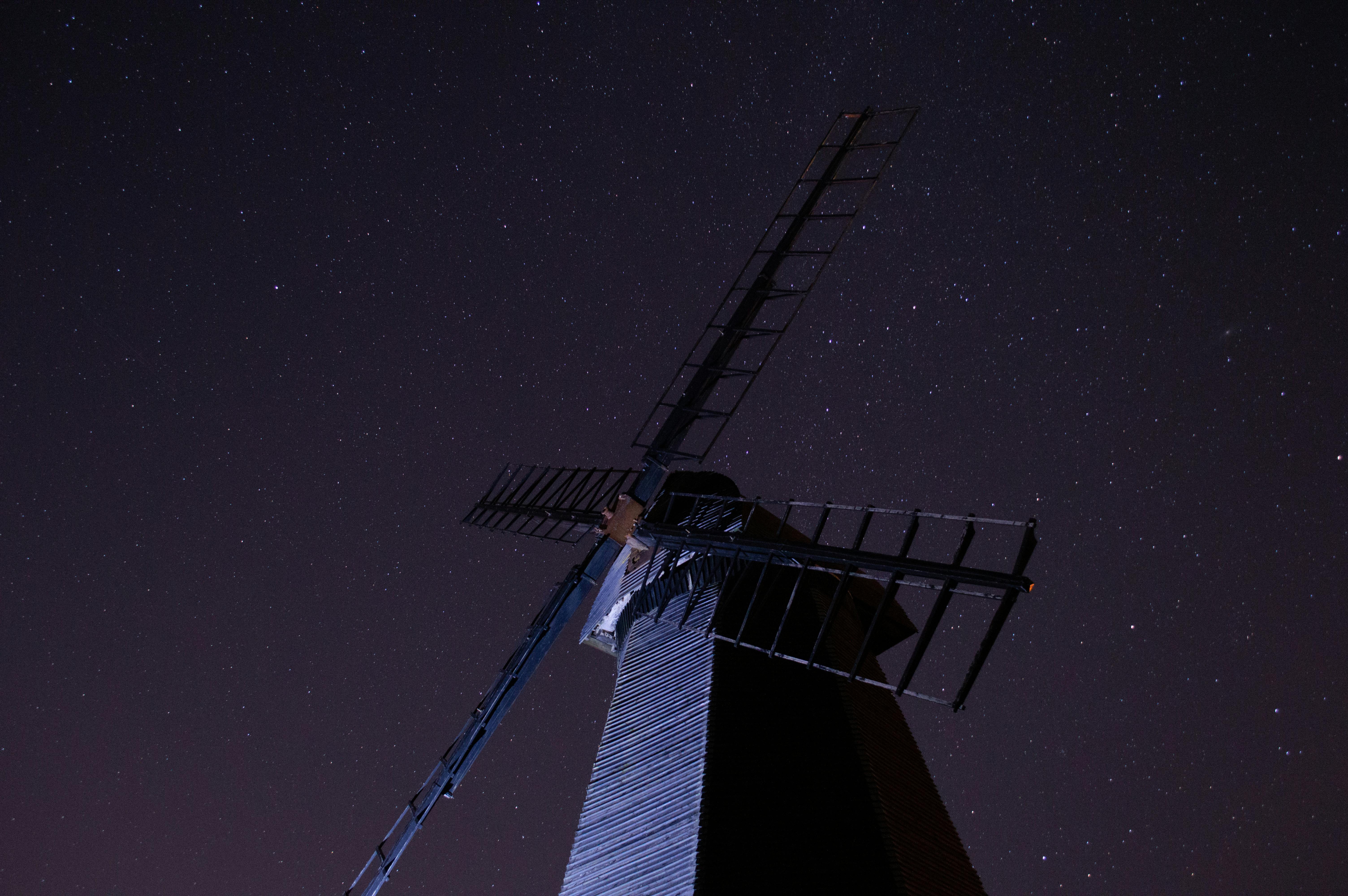 Star-Studded Panels and Appearances