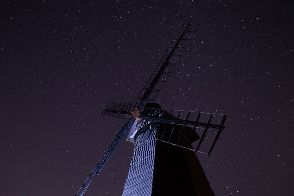 Star-Studded Panels and Appearances