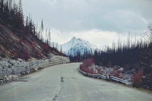 Con đường Rỗng Hướng Tới Núi Tuyết