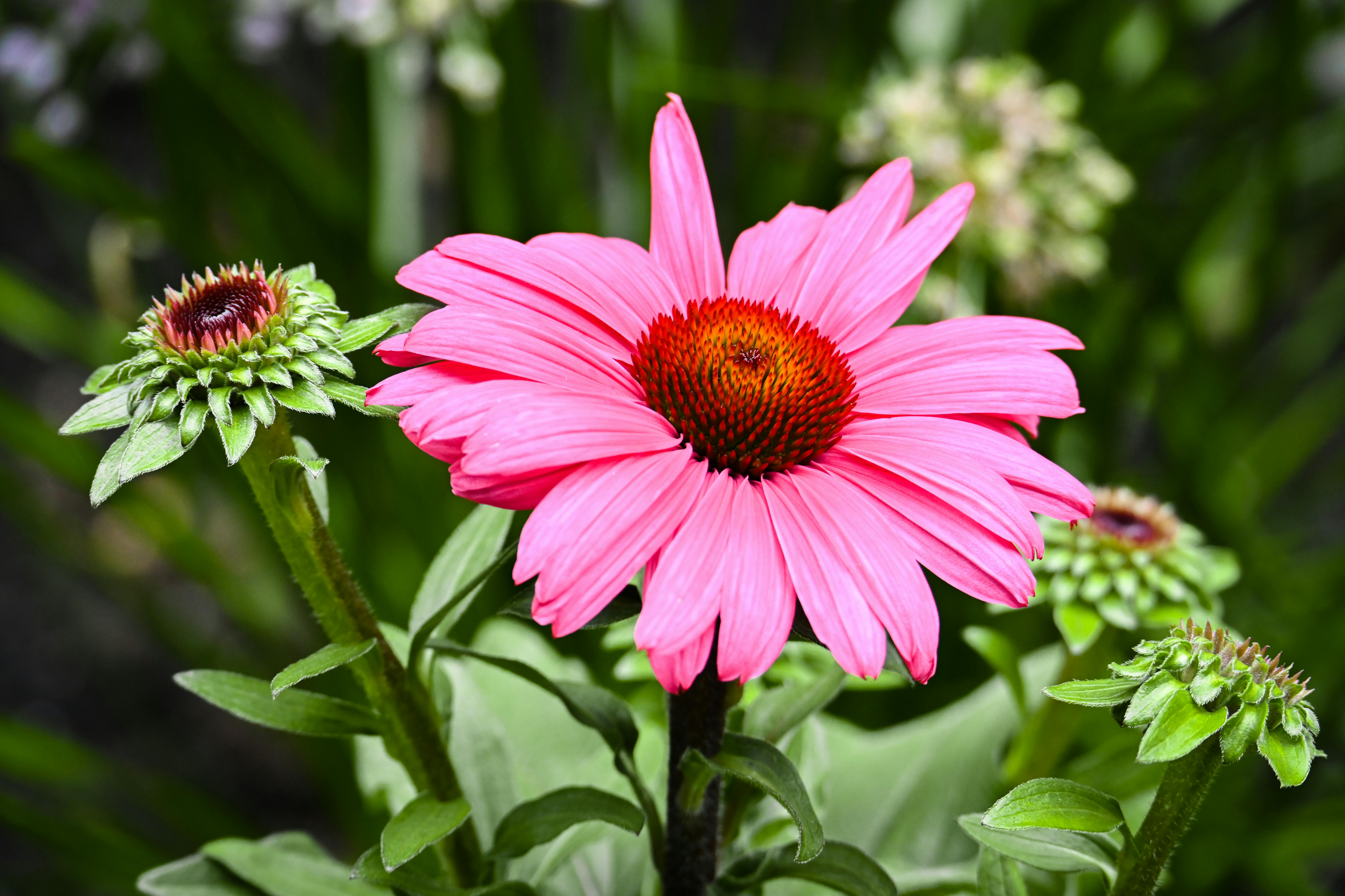 Ultimate Guide to Toddler Friendly Vacations