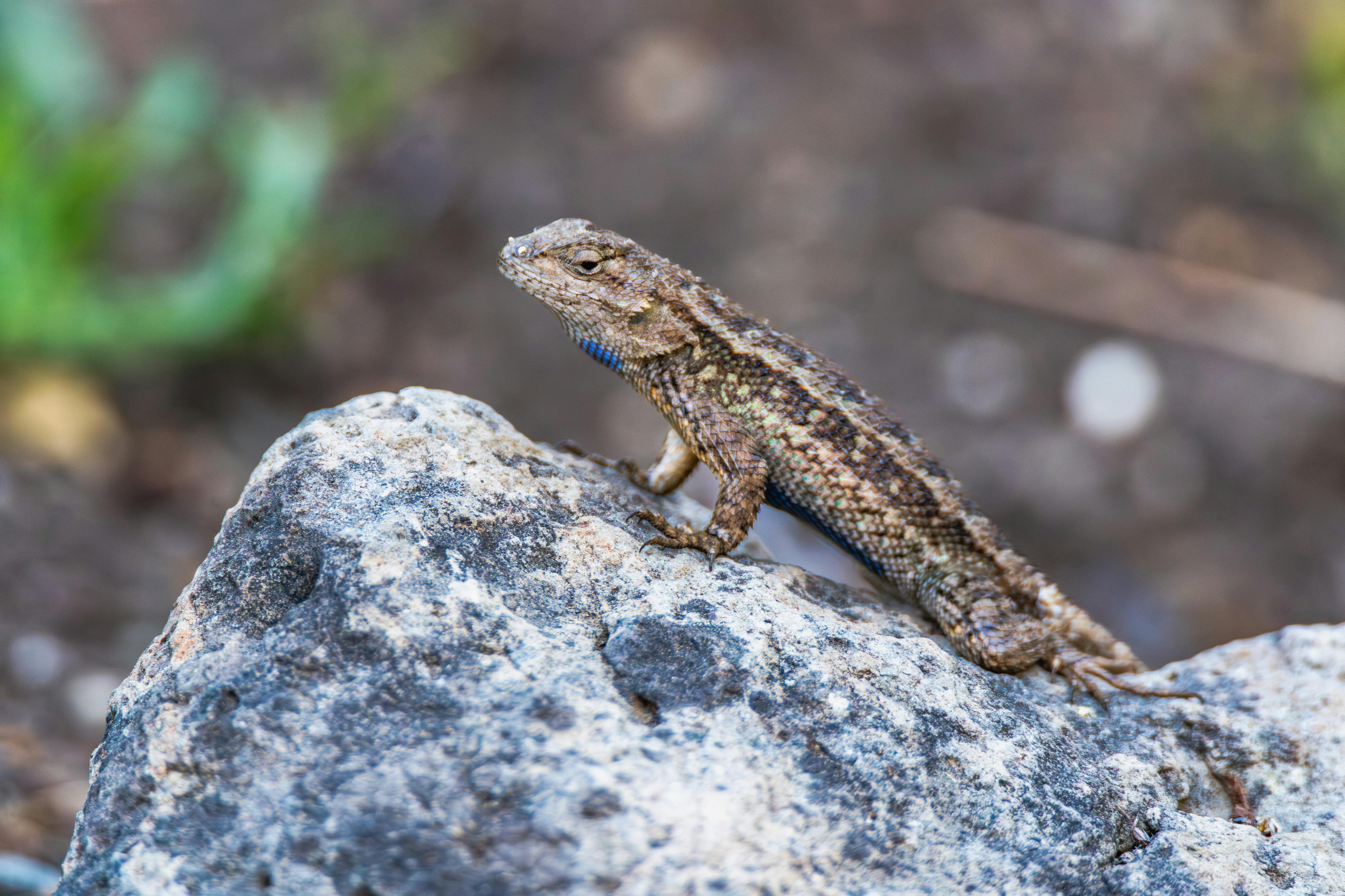 Latest Meme Trends Taking Over Social Media