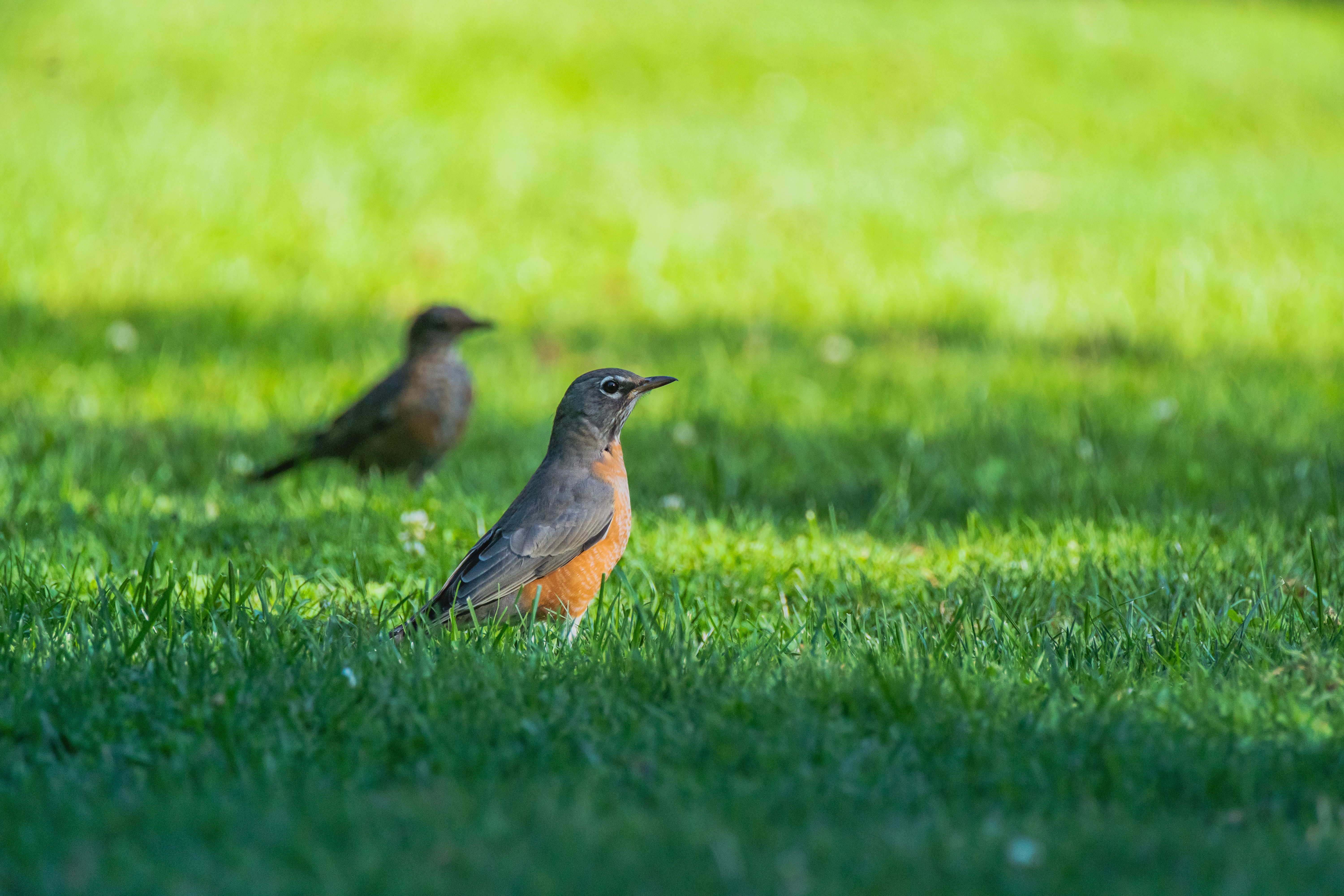 'Exploring Our Backyard,' NSN's summer outdoors series, is back for more local adventures — Photo by Robert So on Pexels