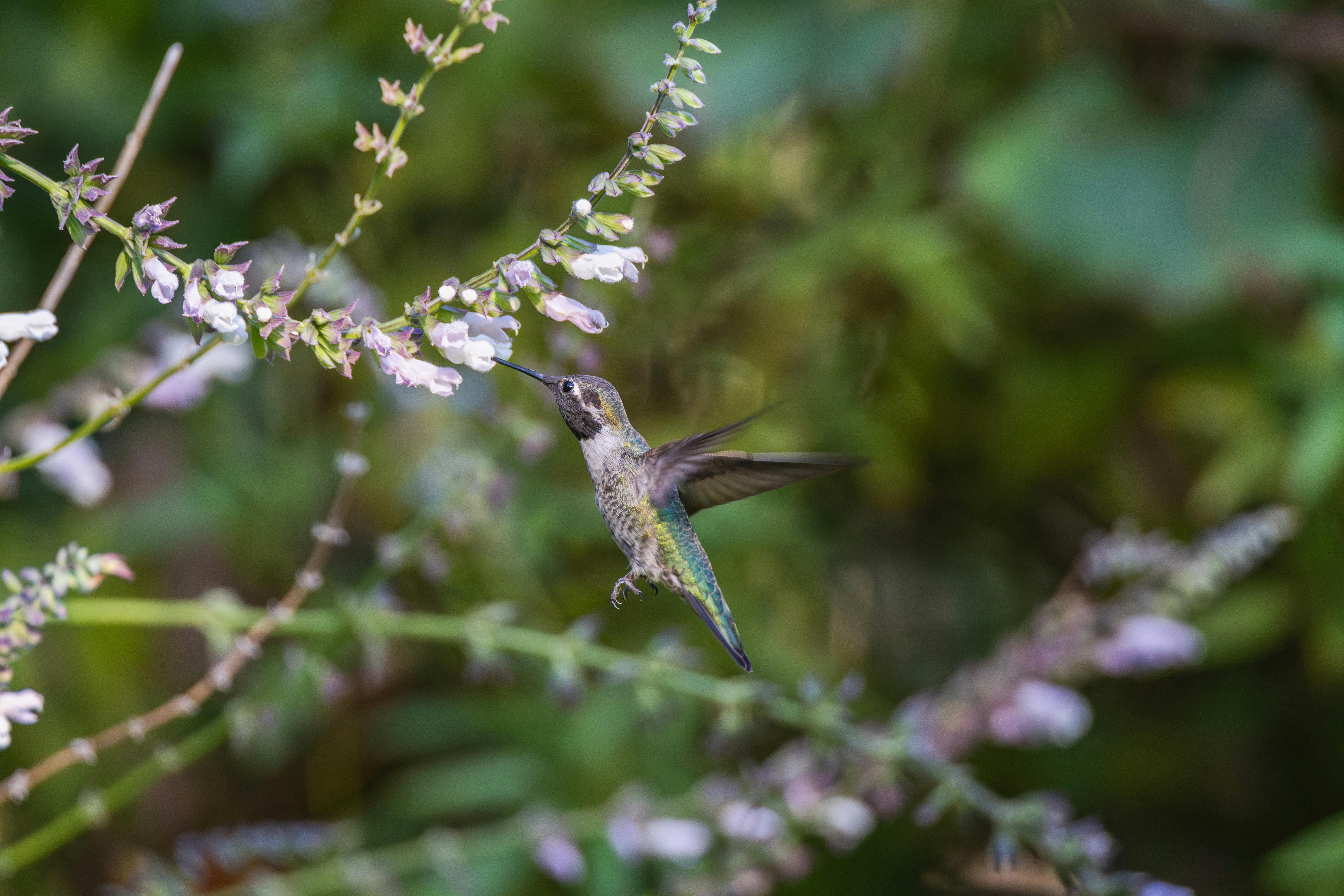 How Tiny Gardens Can Transform Your Lifestyle