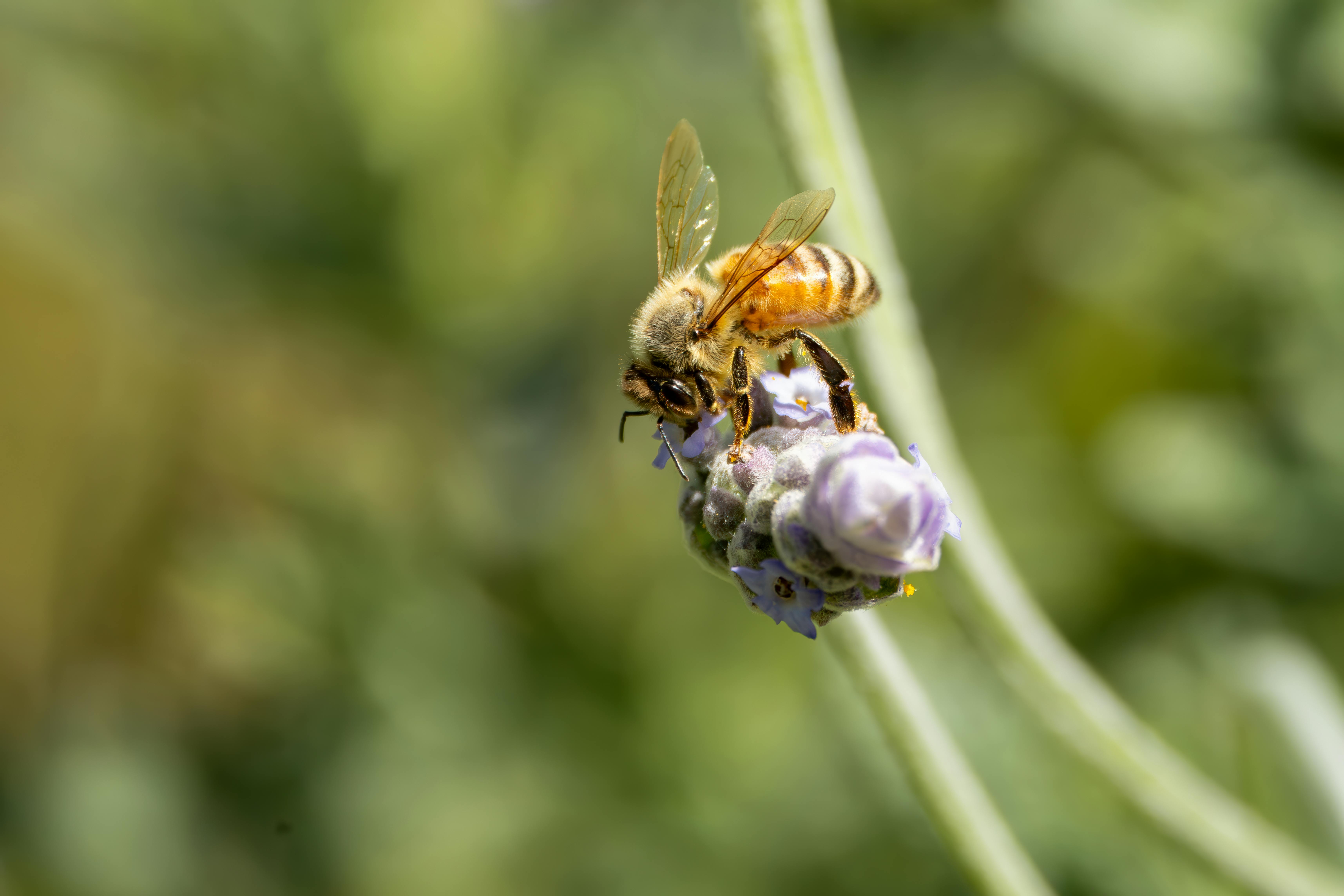 李千娜台語歌聲征服紐約時代廣場巨幕，國際舞台大放異彩
