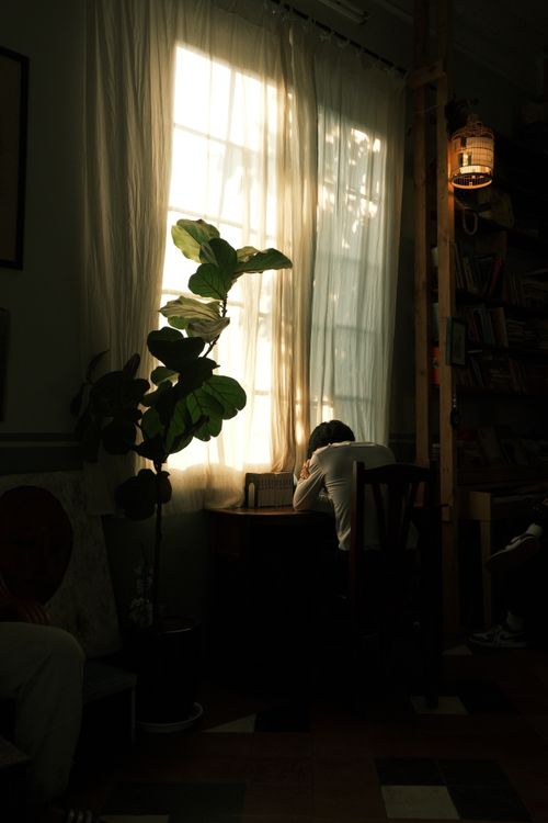 Free A serene moment captured indoors with warm light streaming through sheer curtains. Stock Photo