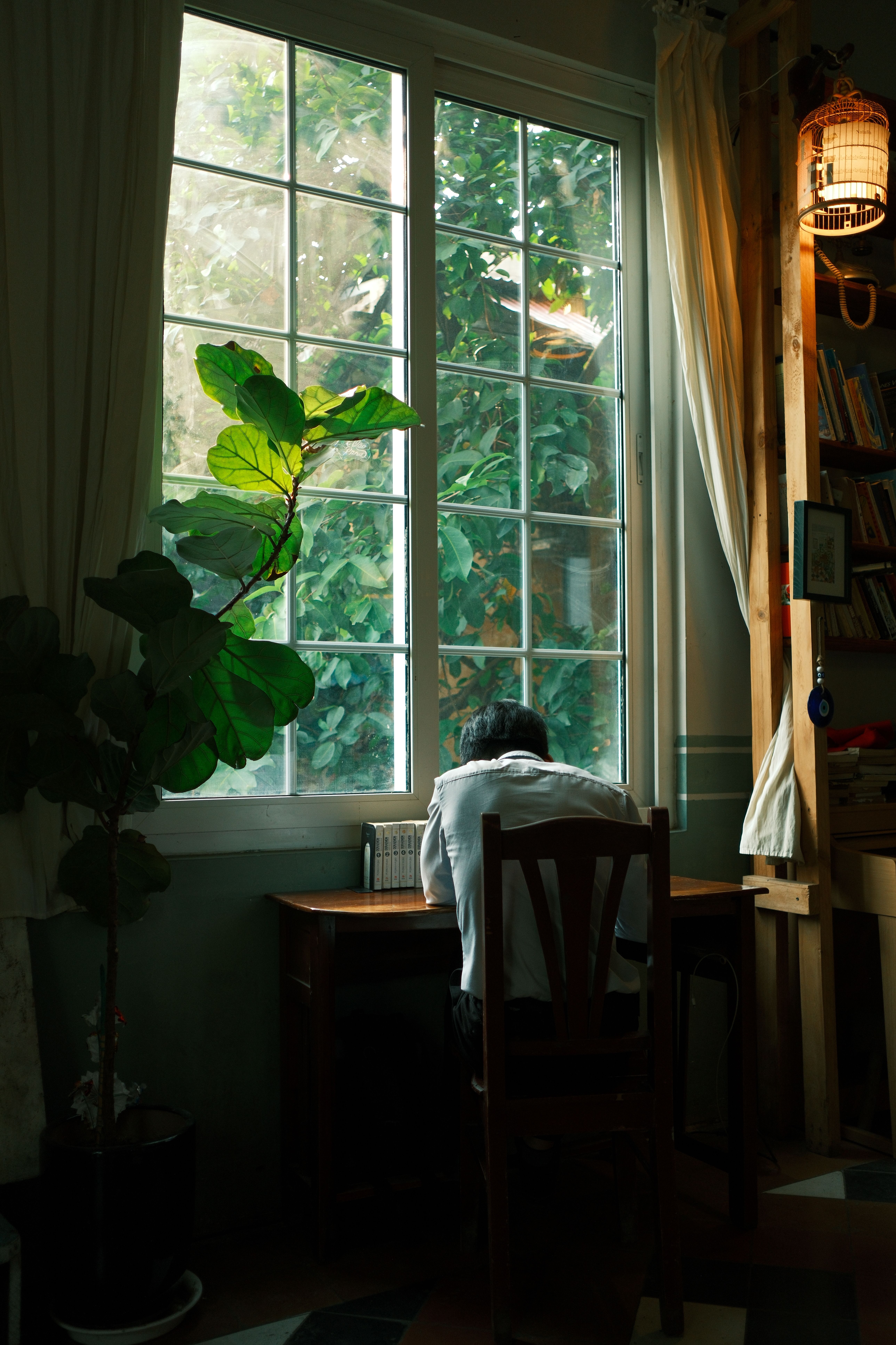 A tranquil home office space with a view of lush greenery through a window, perfect for concentration.