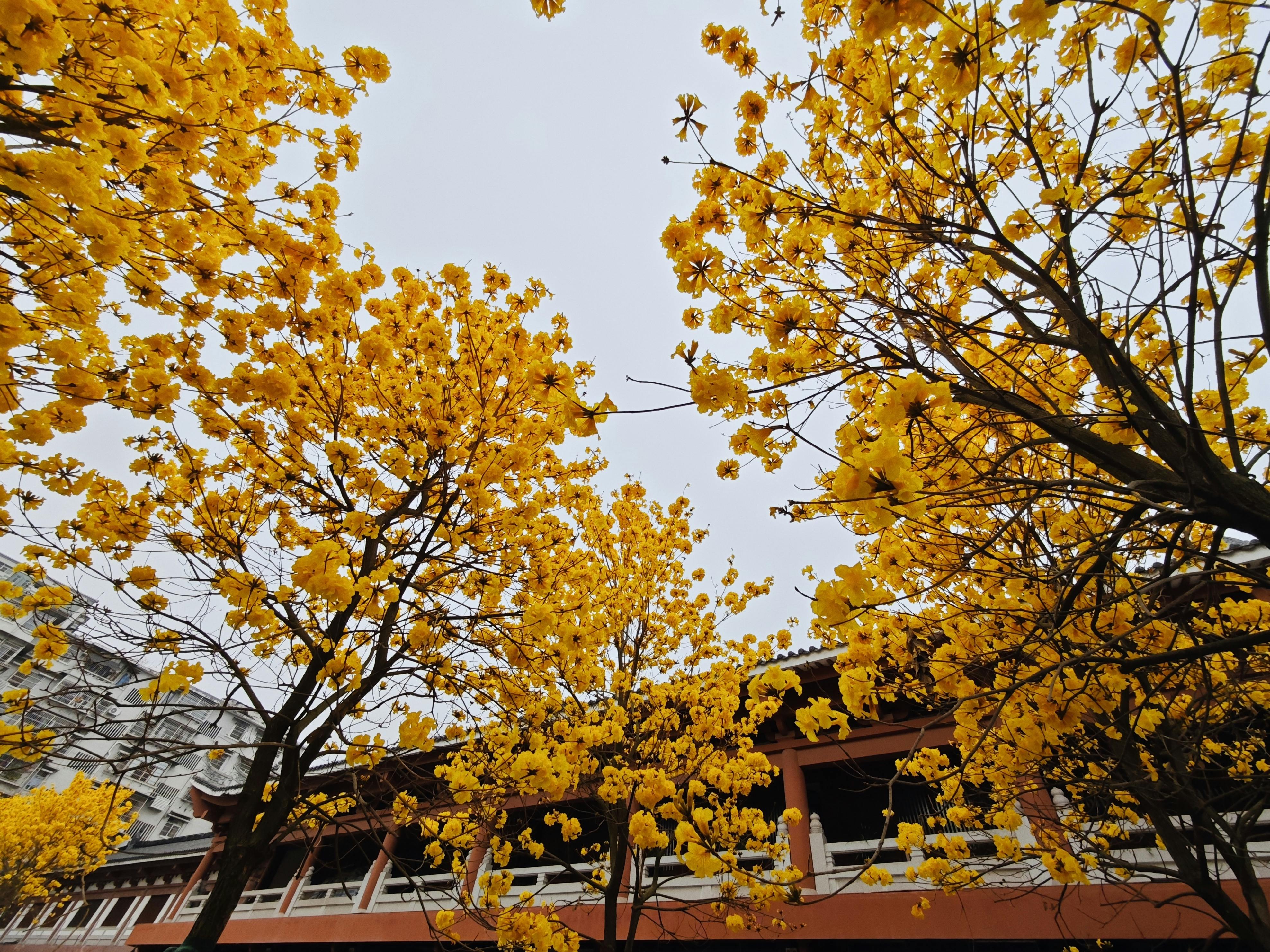 遠雄敦富攜手留白計畫 打造機捷生活圈城市花境新地標