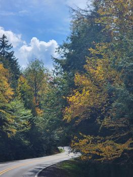 Winding country road framed by colorful autumn trees under a bright blue sky.