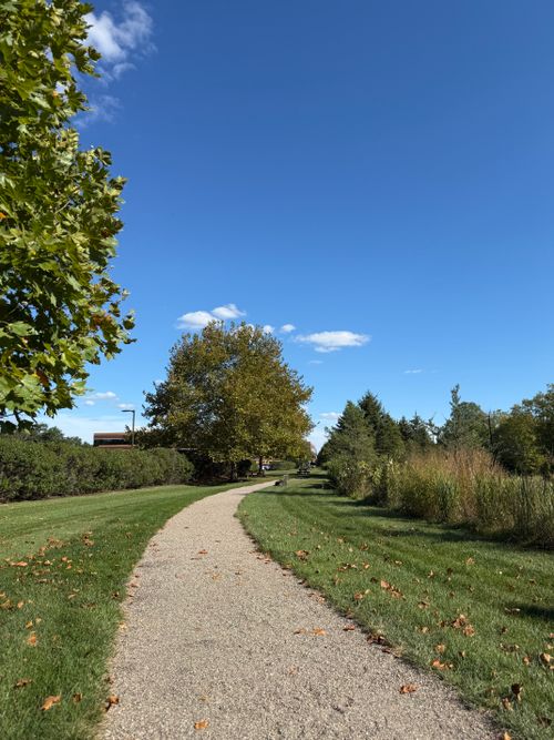 Free A serene walking path surrounded by autumn trees under a vibrant blue sky in Readington Township, NJ. Stock Photo