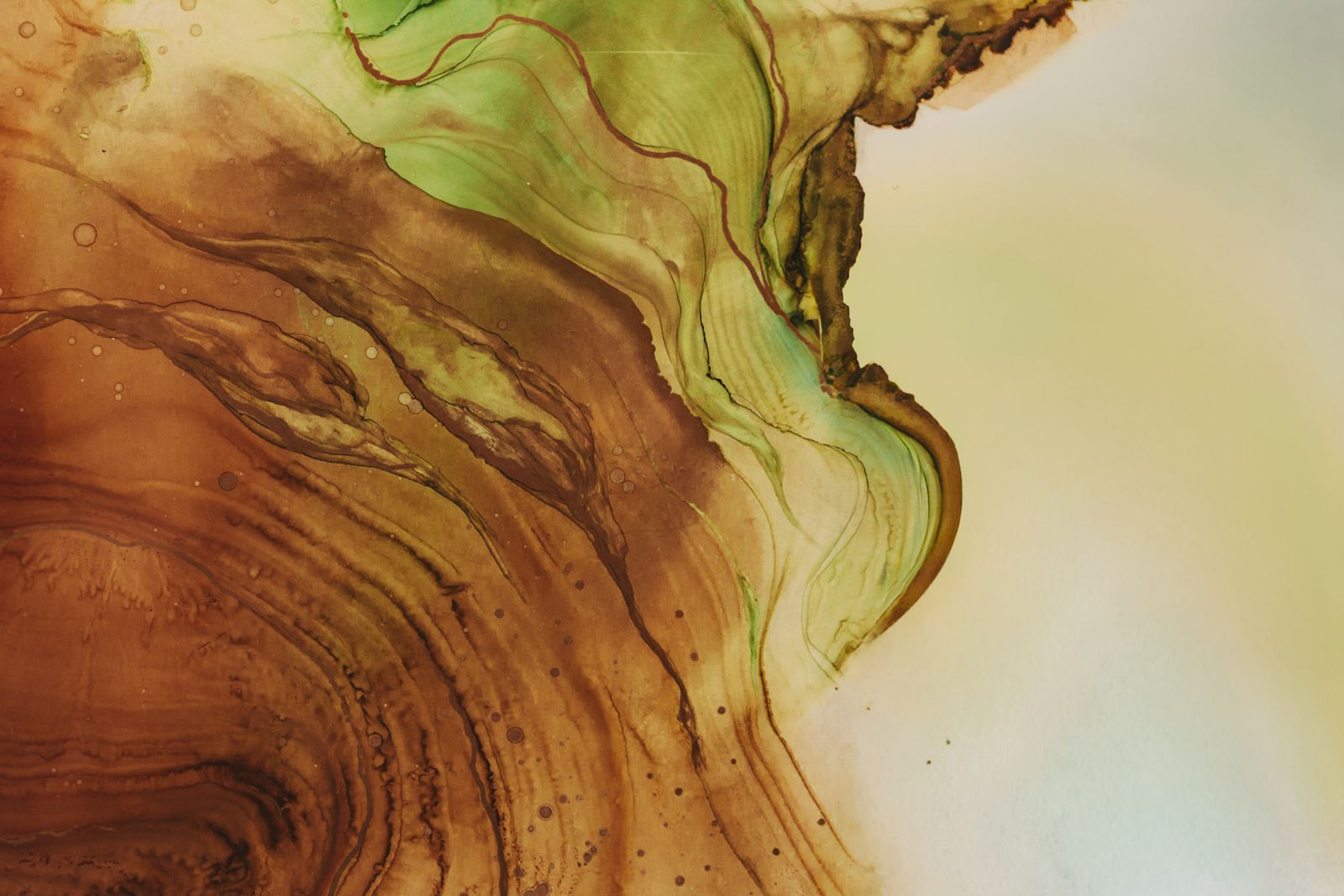 Liquid Colour - The Art and Craft of Alcohol Ink