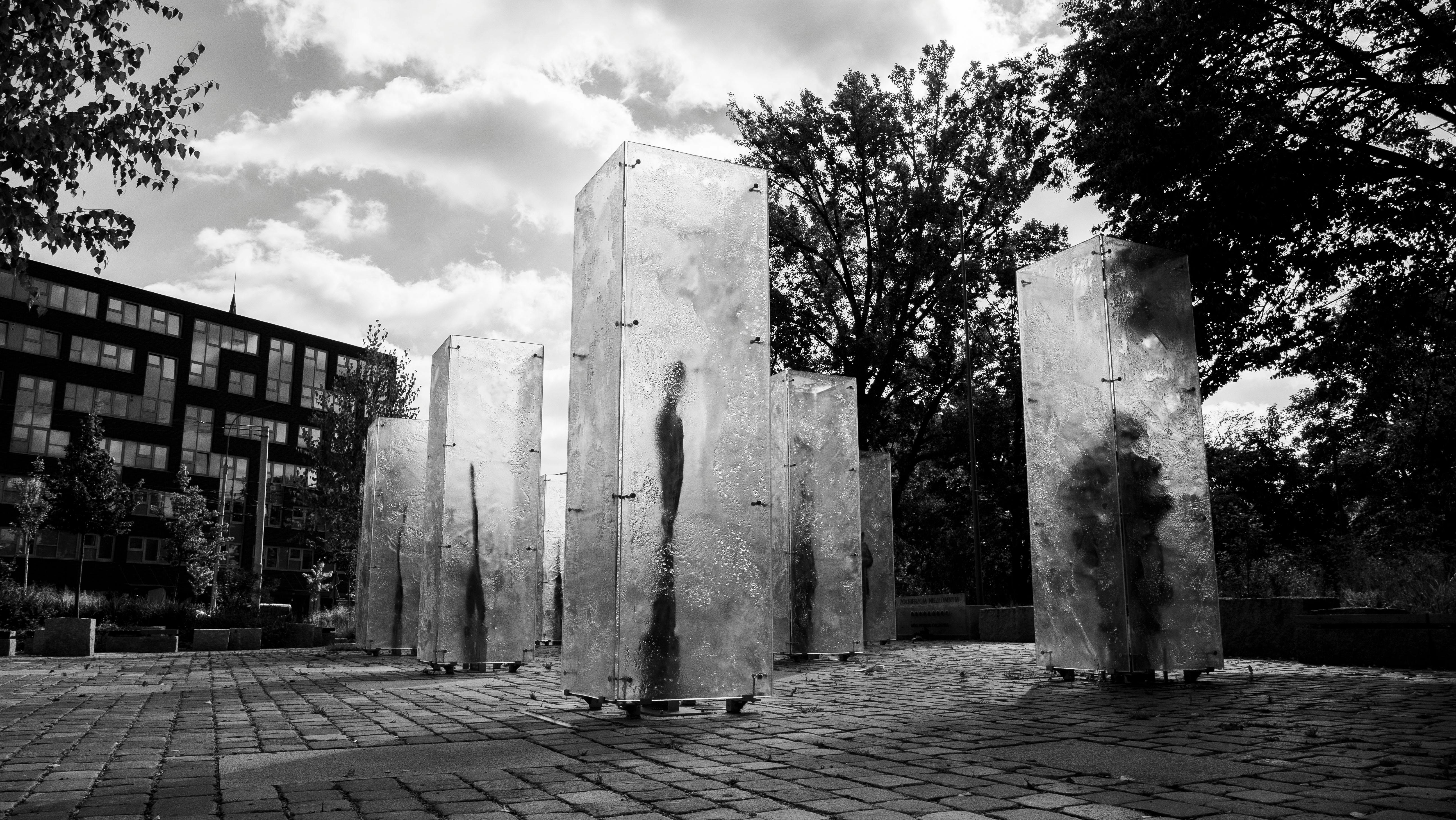 生活：台南六甲迎來6米高新地標「六甲松鶴」正式亮相