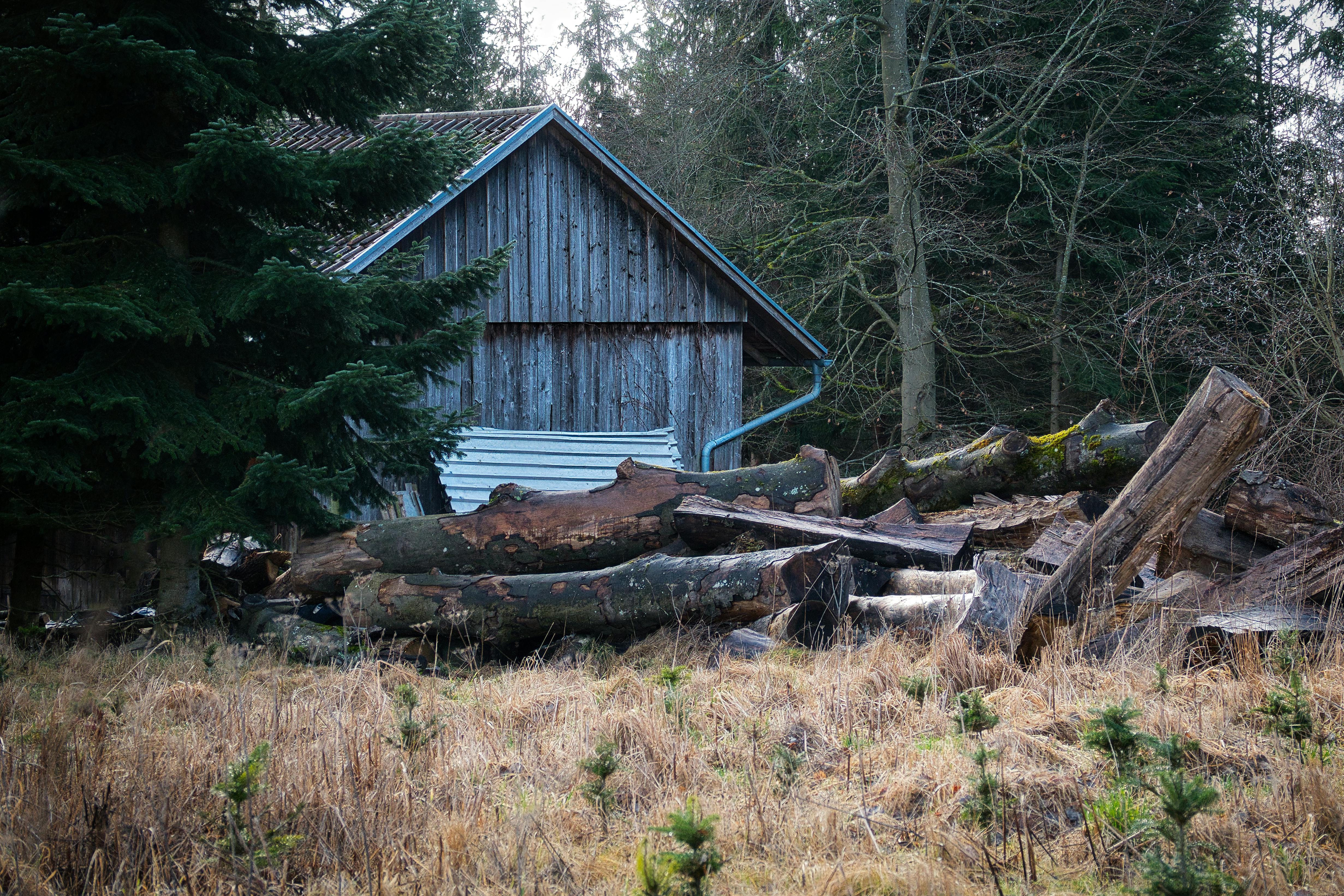 灣區「5+2雙居生活」專家解析七大優勢，打造理想居住模式