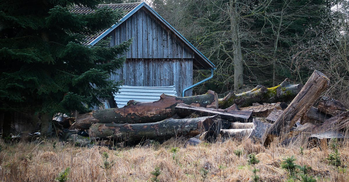 灣區「5+2雙居生活」專家解析七大優勢,打造理想居住模式
