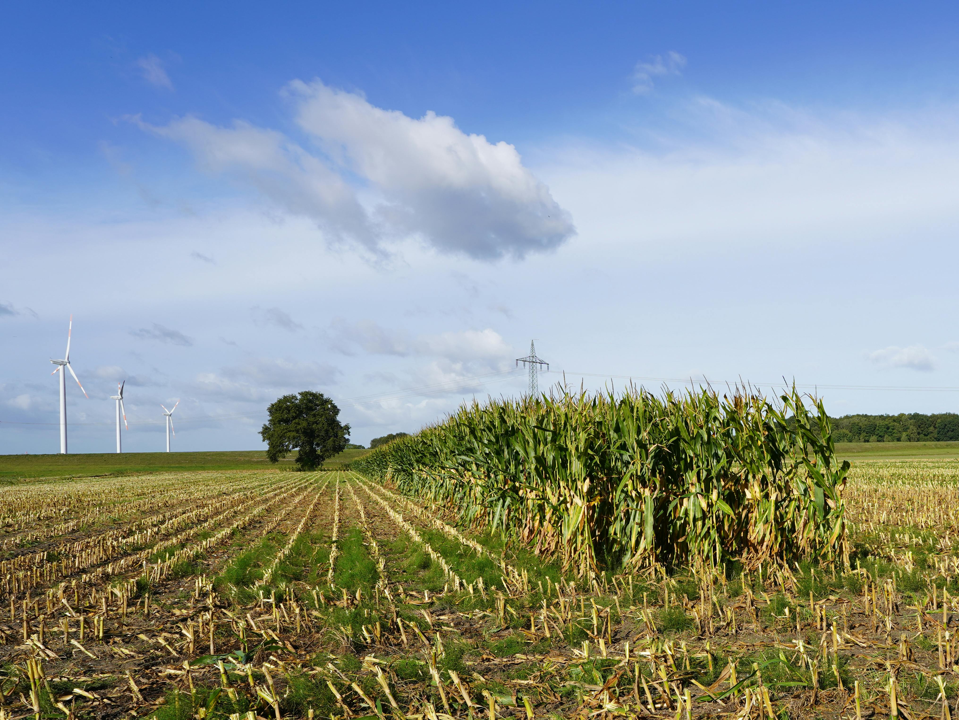 AI科技股爆發引發A股市值版圖大變動，快速膨脹成市場隱憂