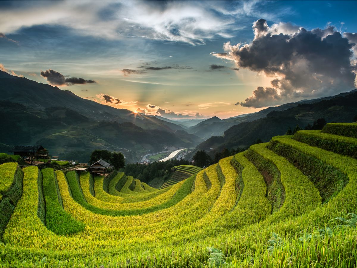 4 Day Vibrations of Wellness: Sound Healing Escape Retreat, India 2
