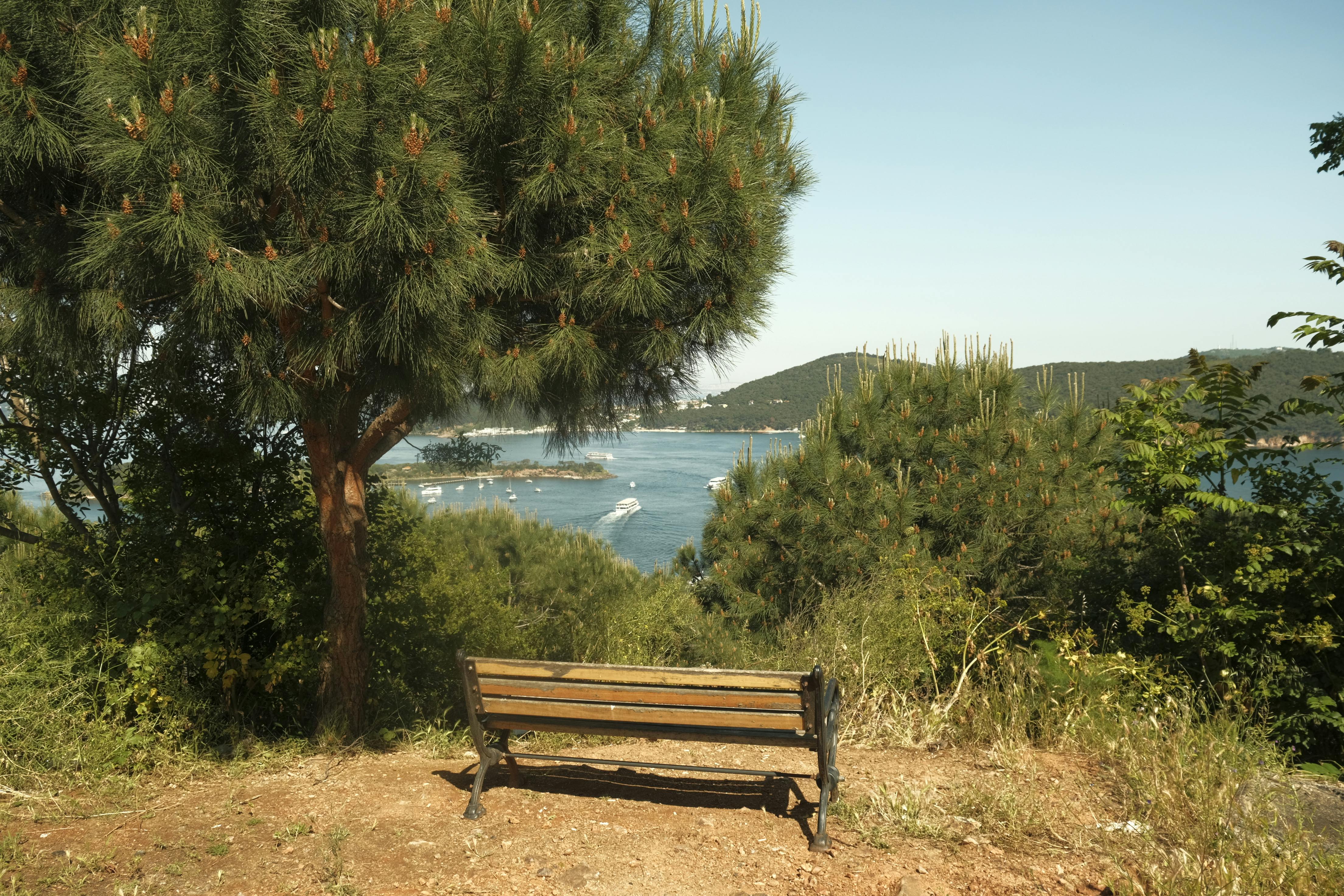 Princes Islands, Burgazada, Istanbul islands - Detail