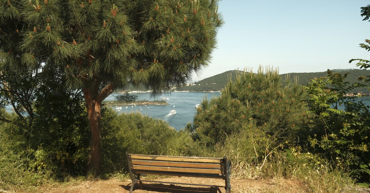 Scenic Bench Overlooking Burgazada Island in Istanbul · Free Stock Photo