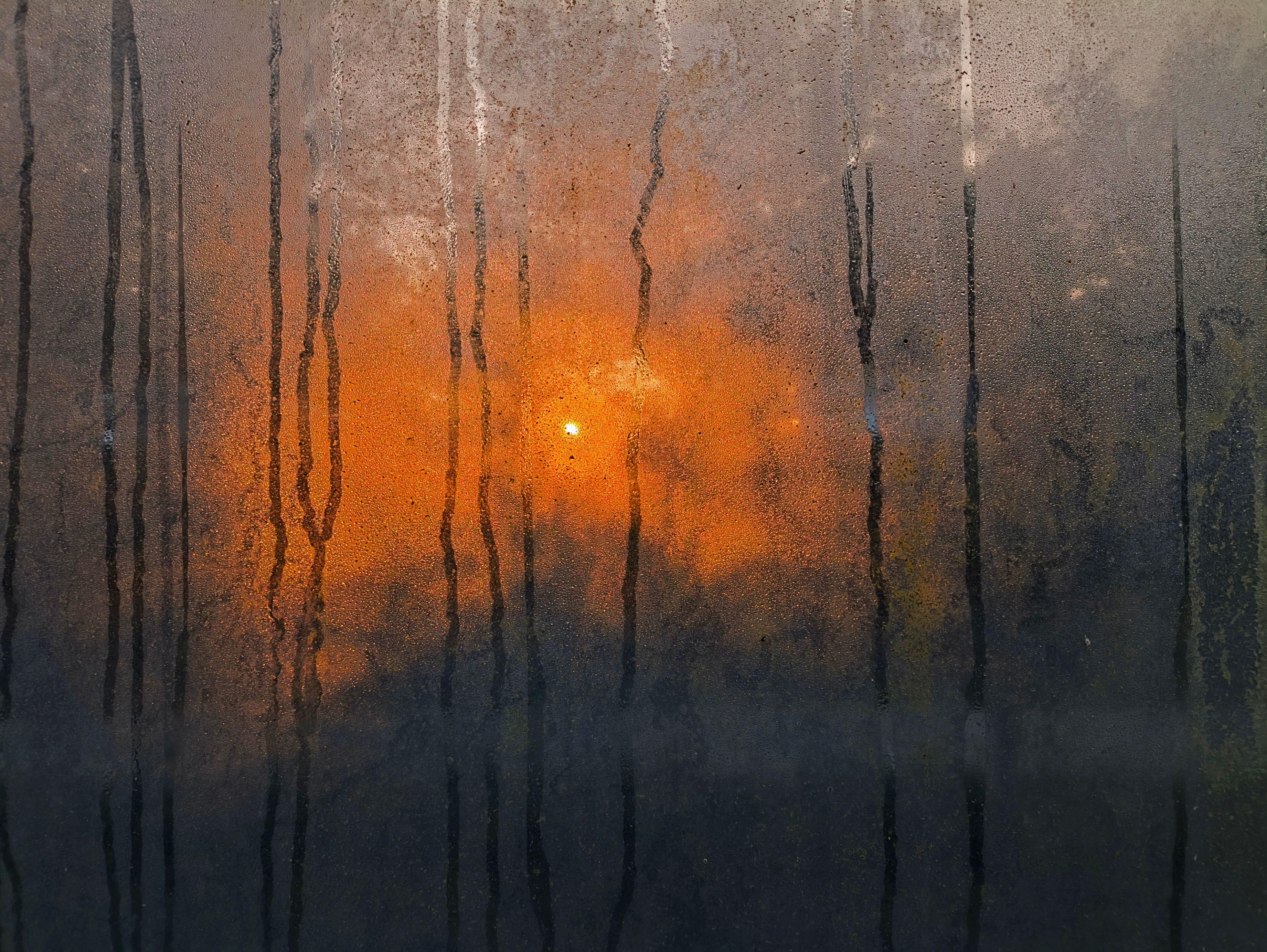 Sunset Through Steamy Window with Water Droplets · Free Stock Photo