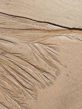 Artistic seashell imprints on a sandy beach in Casablanca, Morocco, captured in sunlight.