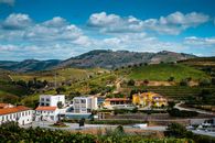Picturesque view of lush vineyards and colorful houses in a serene countryside setting under a bright sky.