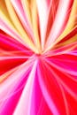 Vibrant Abstract Light Streaks in Pink and Yellow