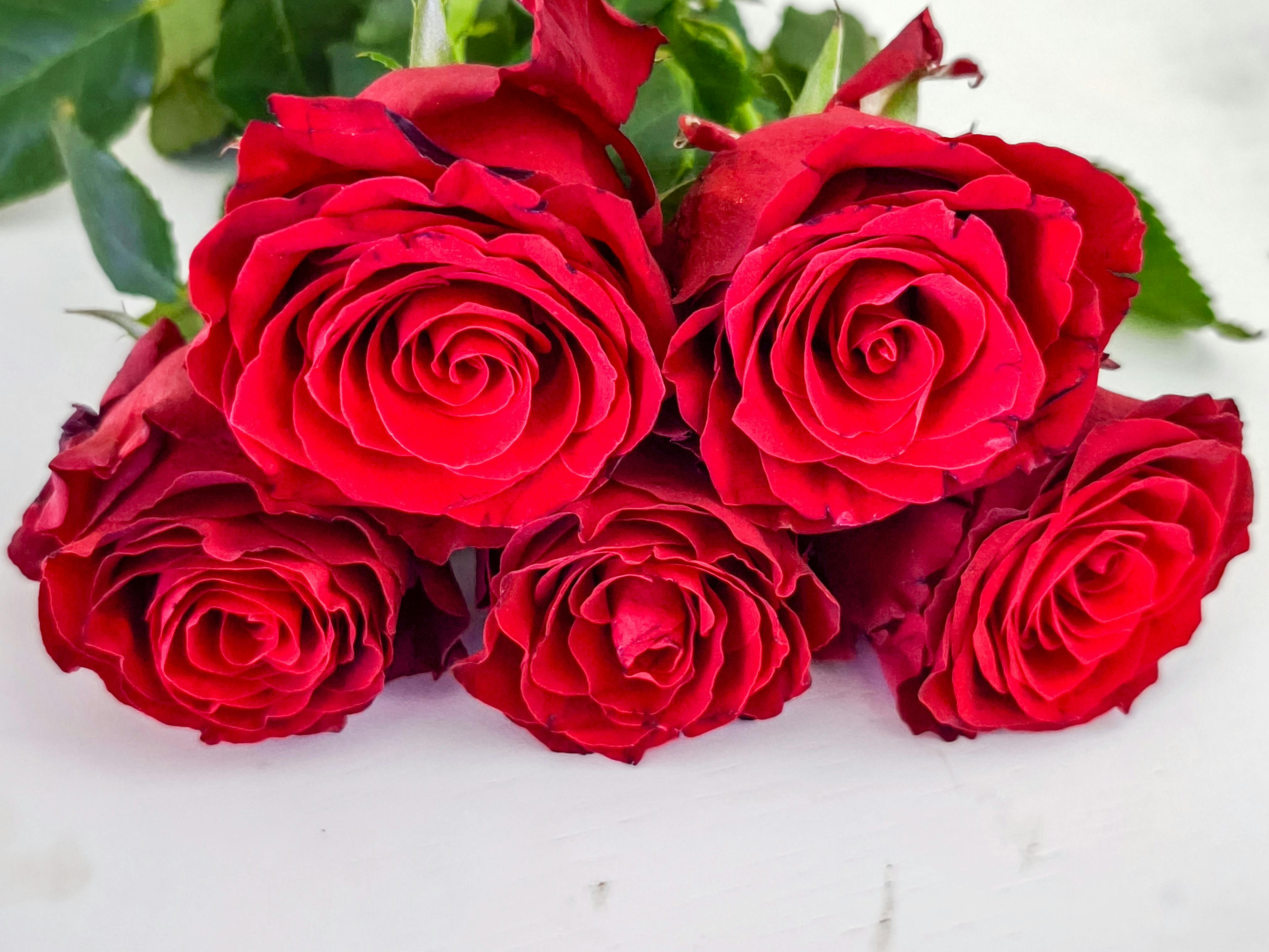 Birthday Loading Photos, Download The BEST Free Birthday Loading Stock ...