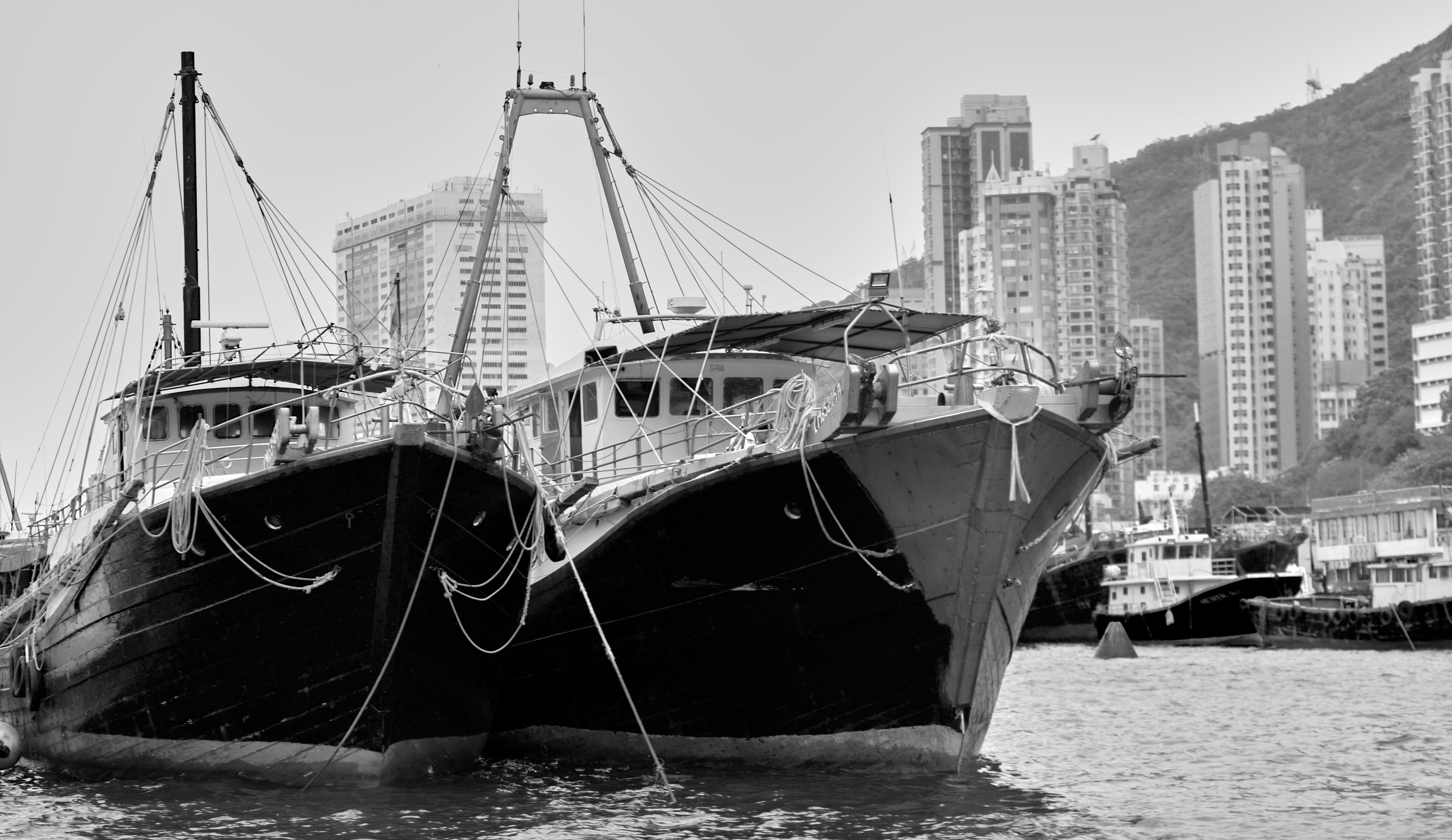 A monochrome photograph of anchored boats in the bustling harbor of New Territories, Hong Kong.